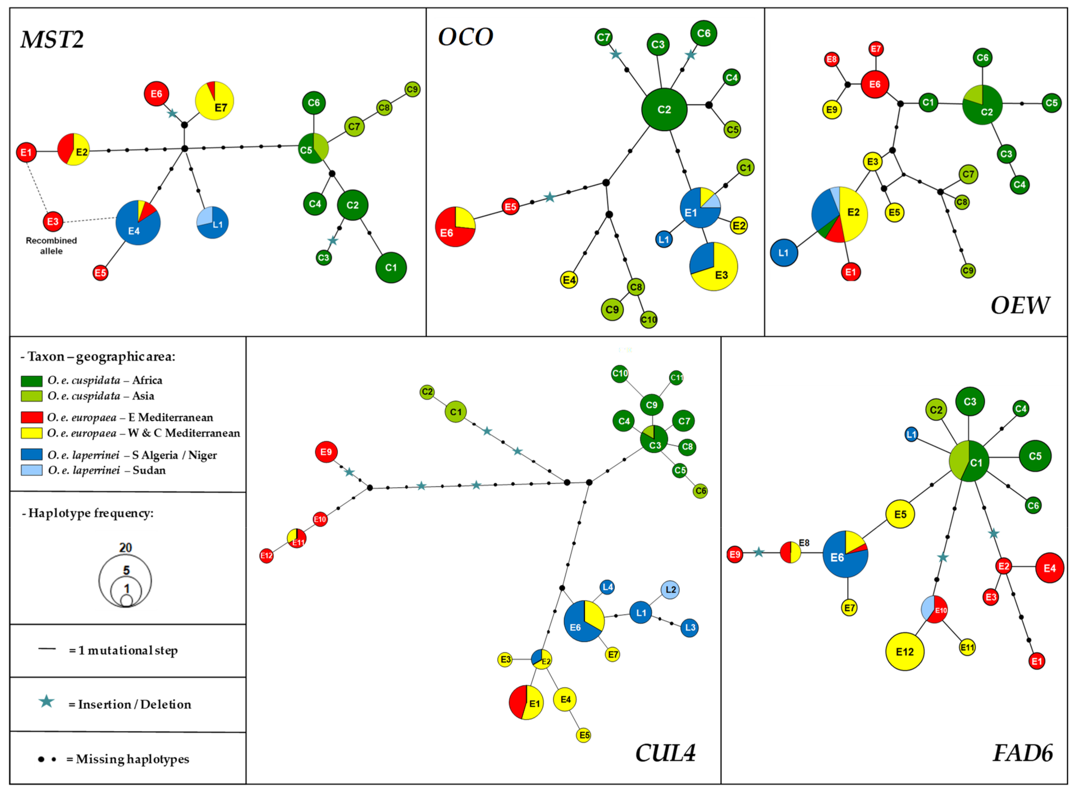 Plants 10 01207 g001