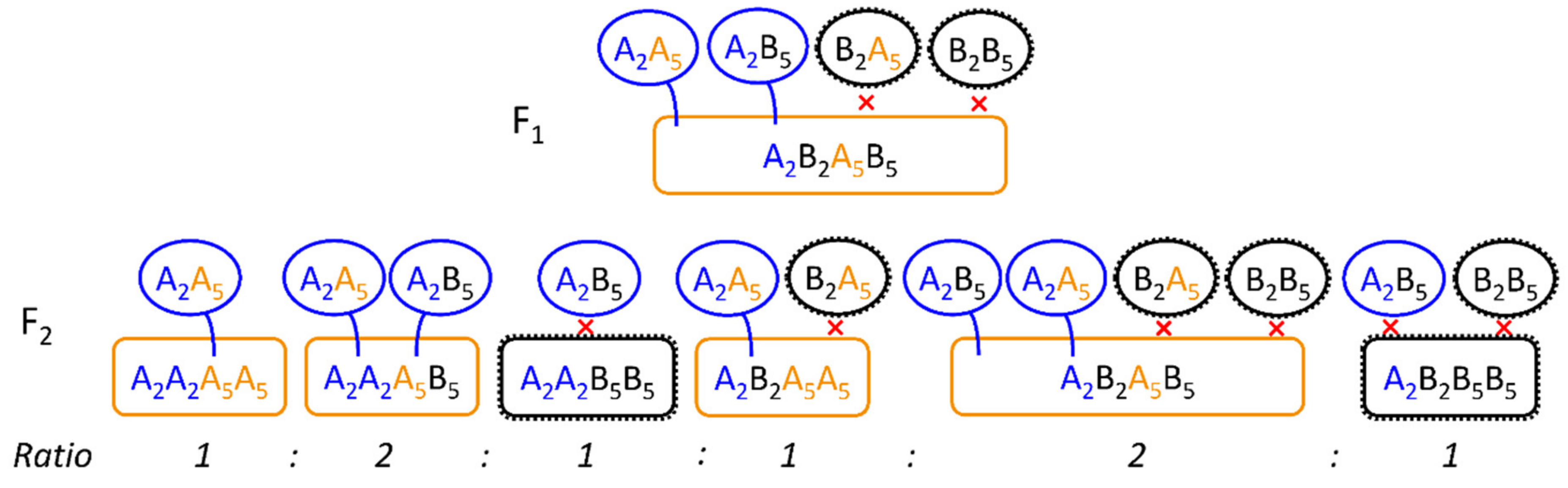 Plants 10 01210 g006