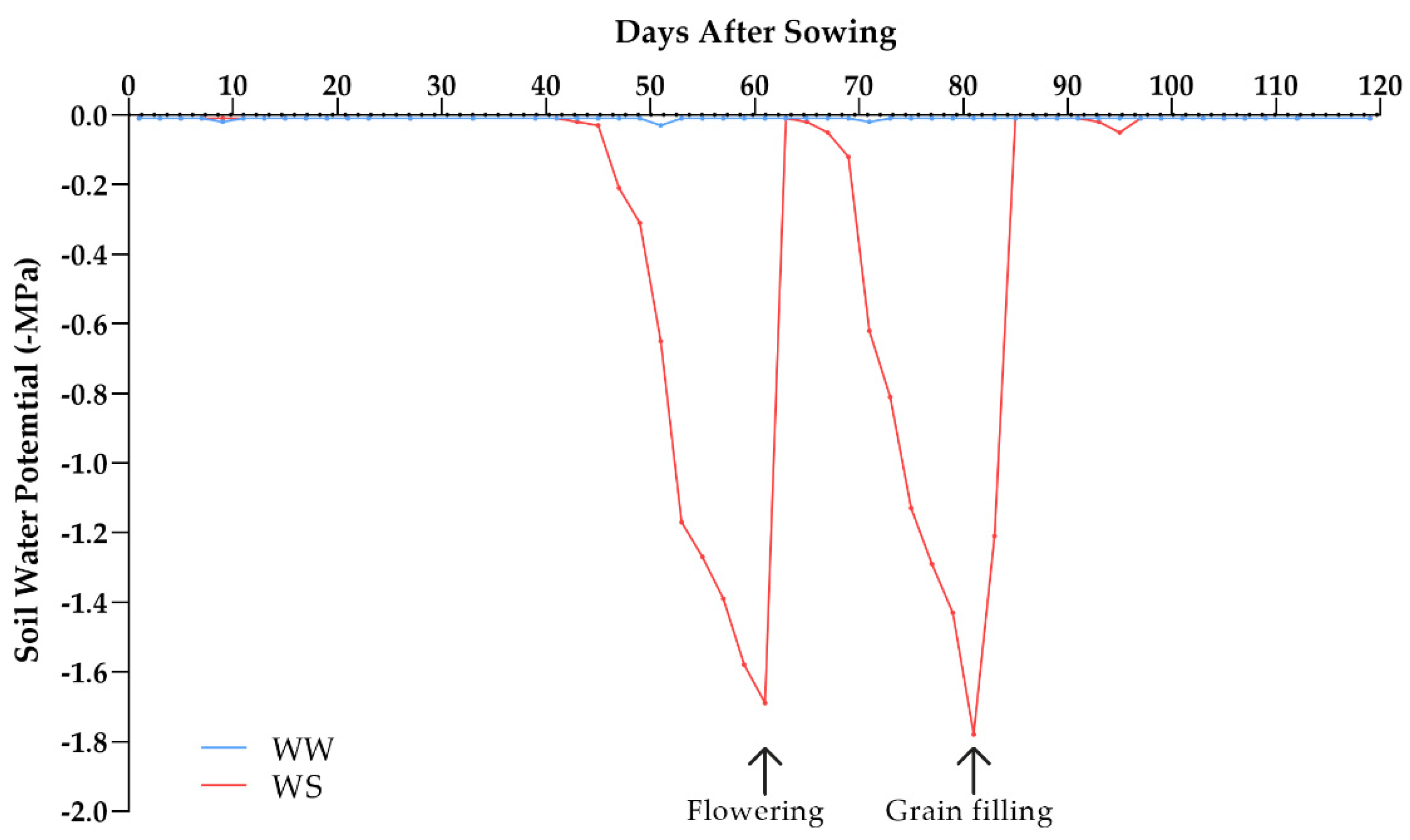 Plants 10 01211 g006