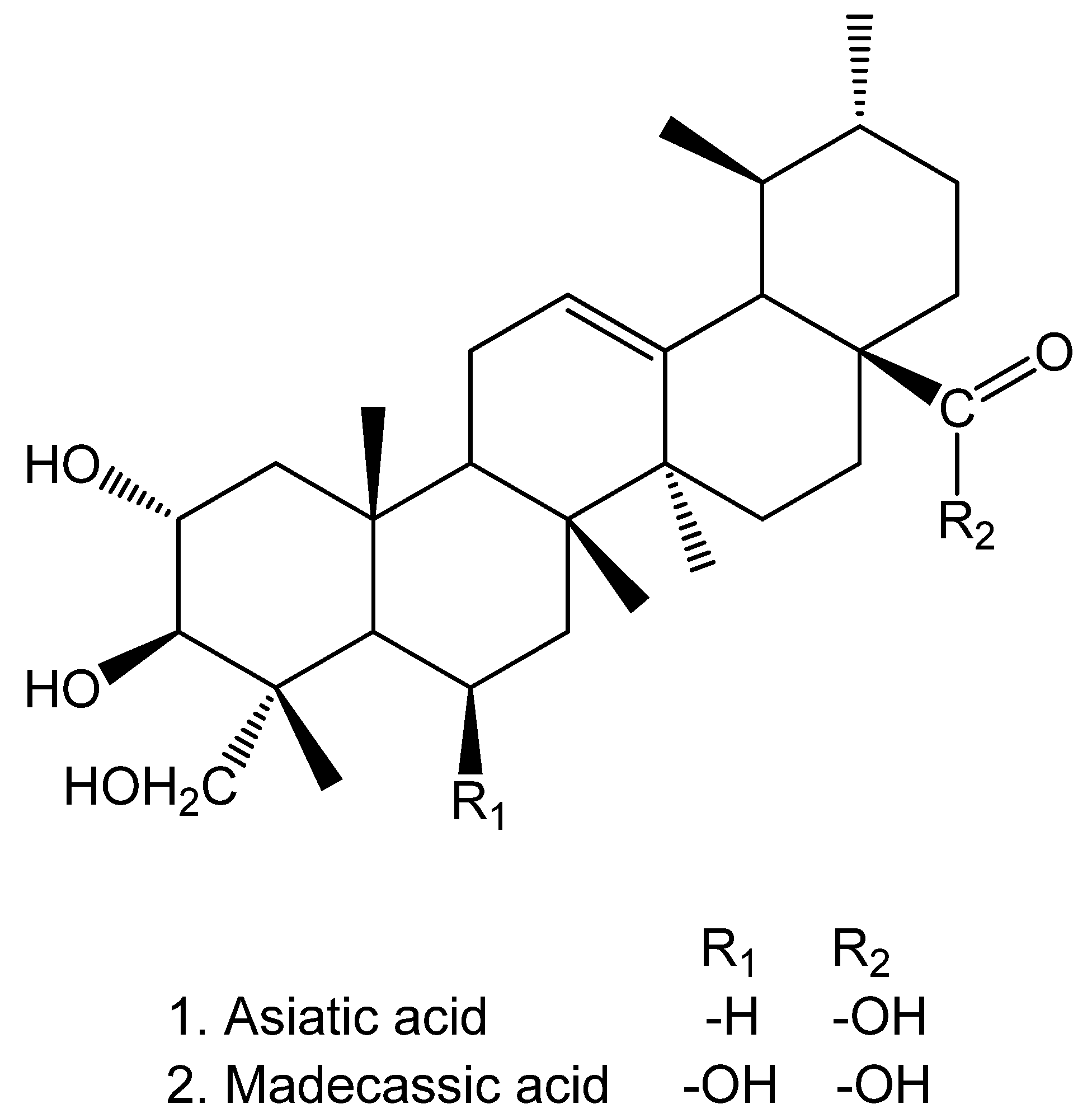 Plants 10 01219 g004 Plants 10 01219 g004