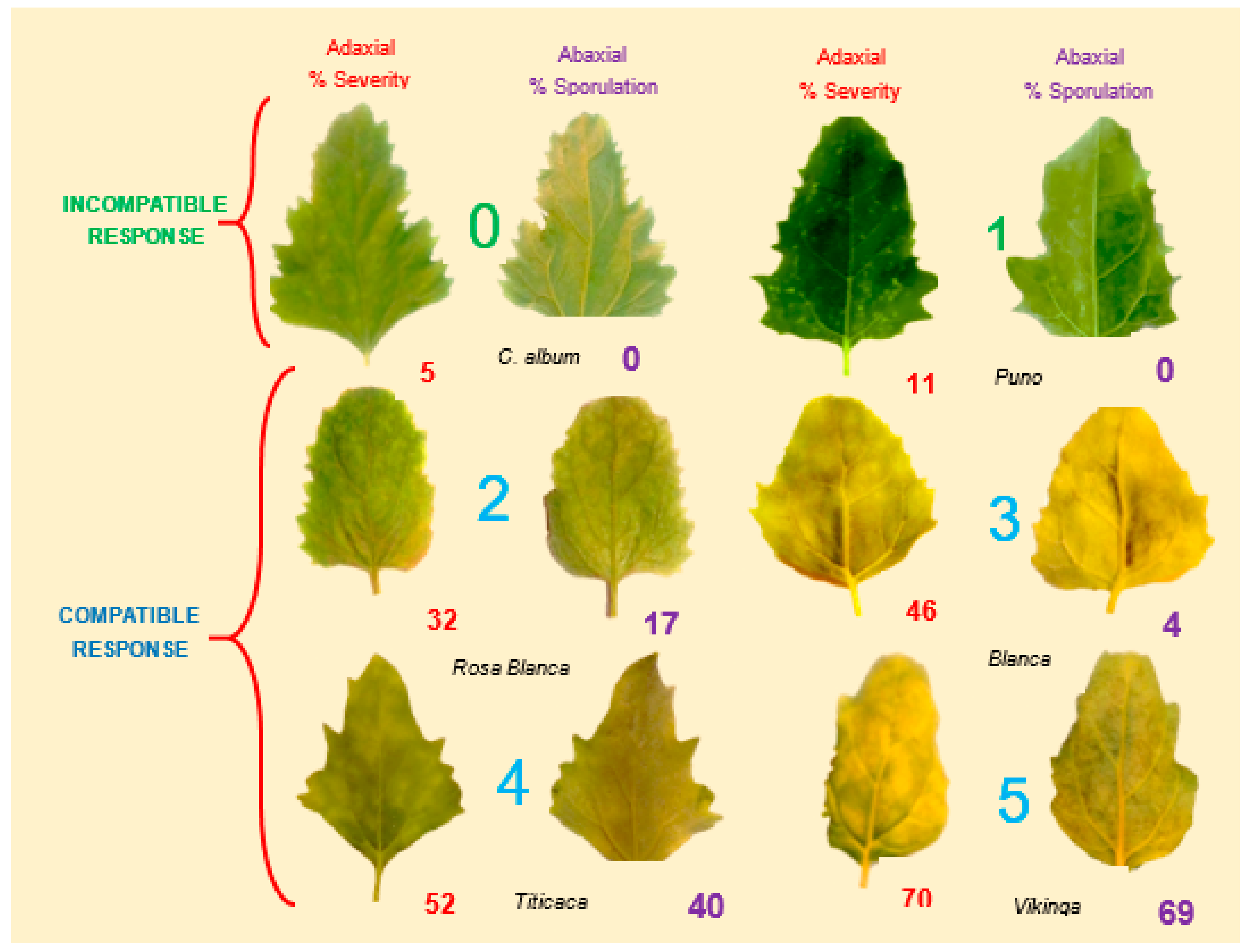 Plants 10 01228 g006 Plants 10 01228 g006