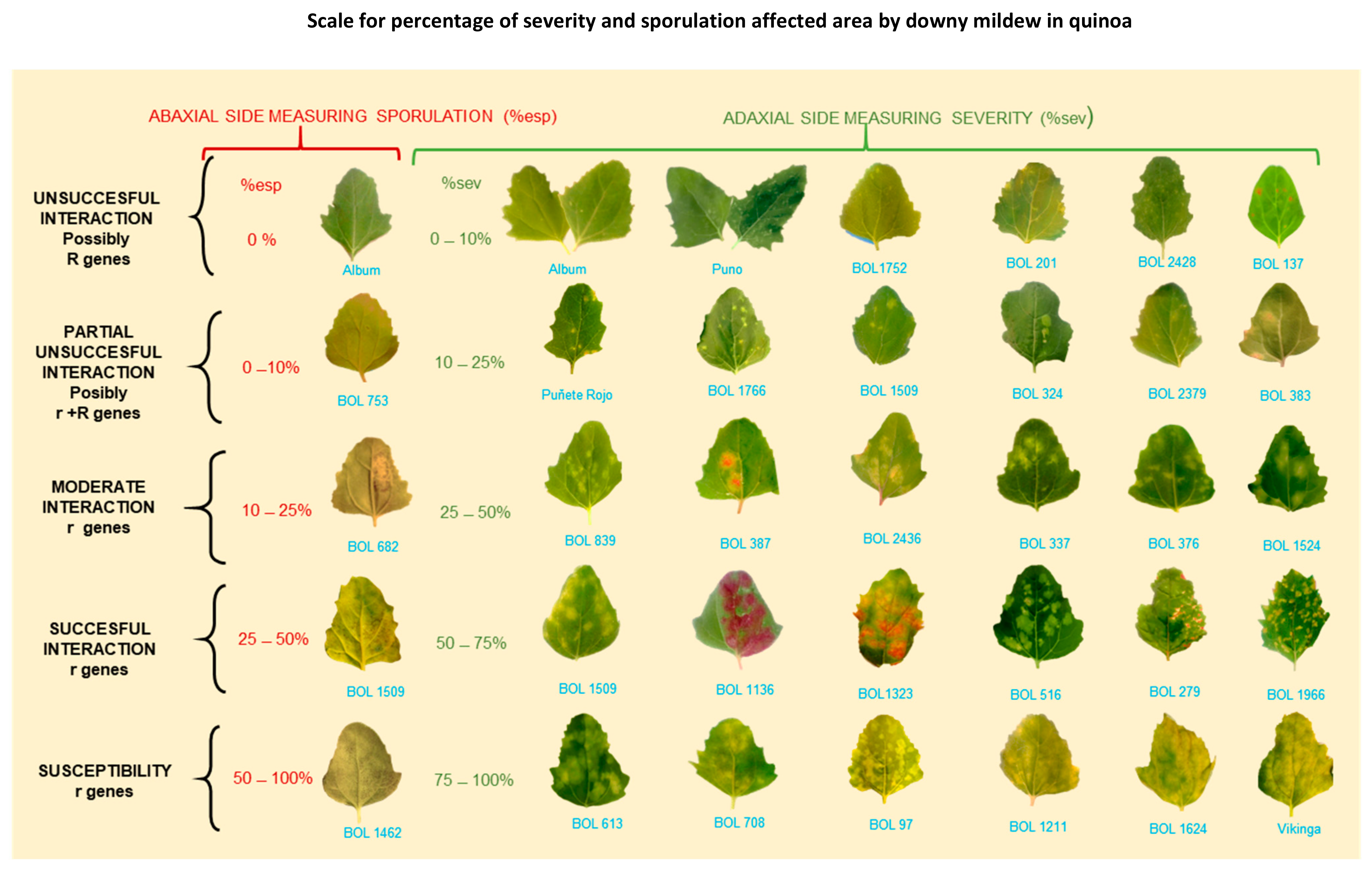 Plants 10 01228 g009 Plants 10 01228 g009