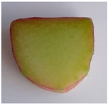 Plants 10 01244 i001