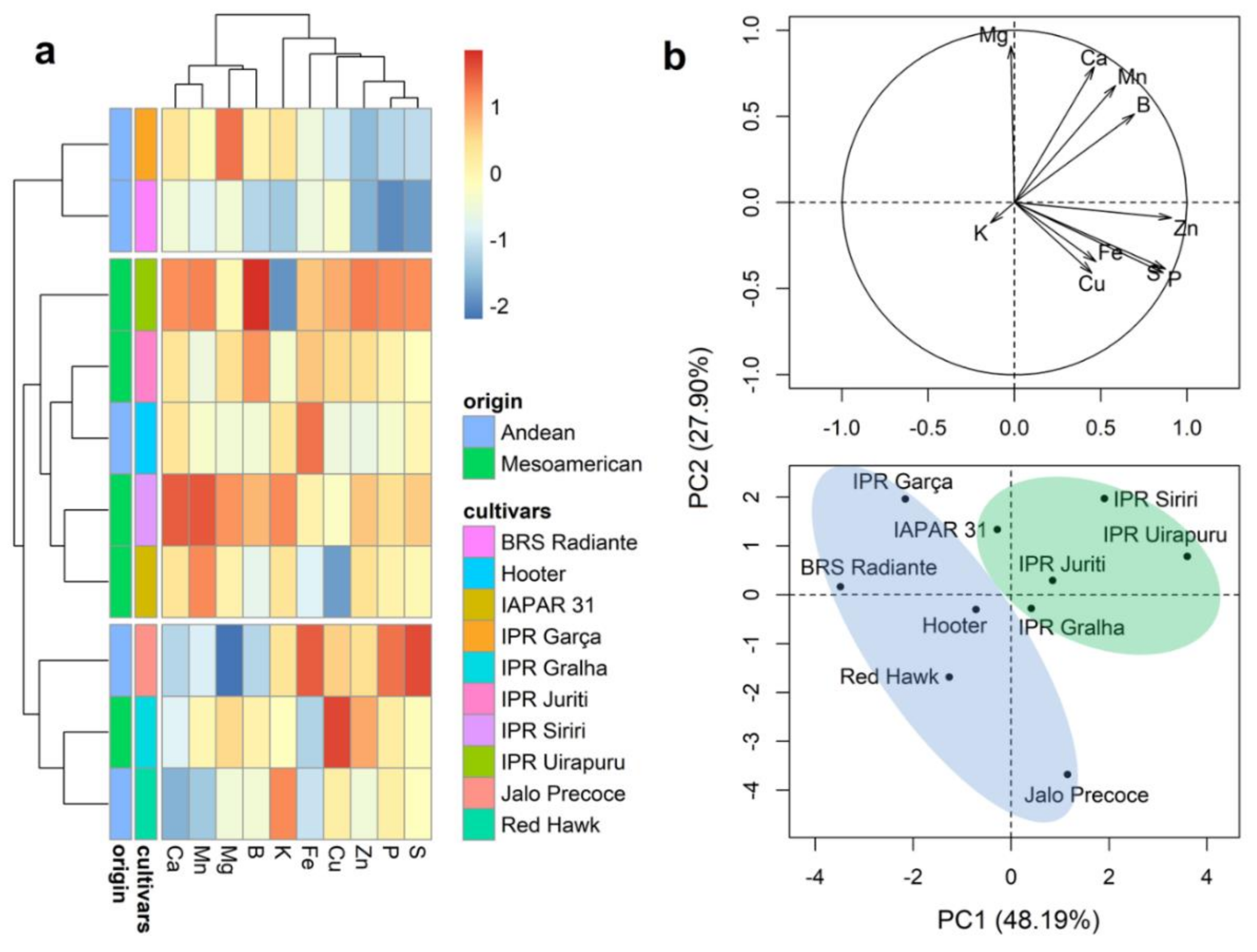 Plants 10 01246 g004