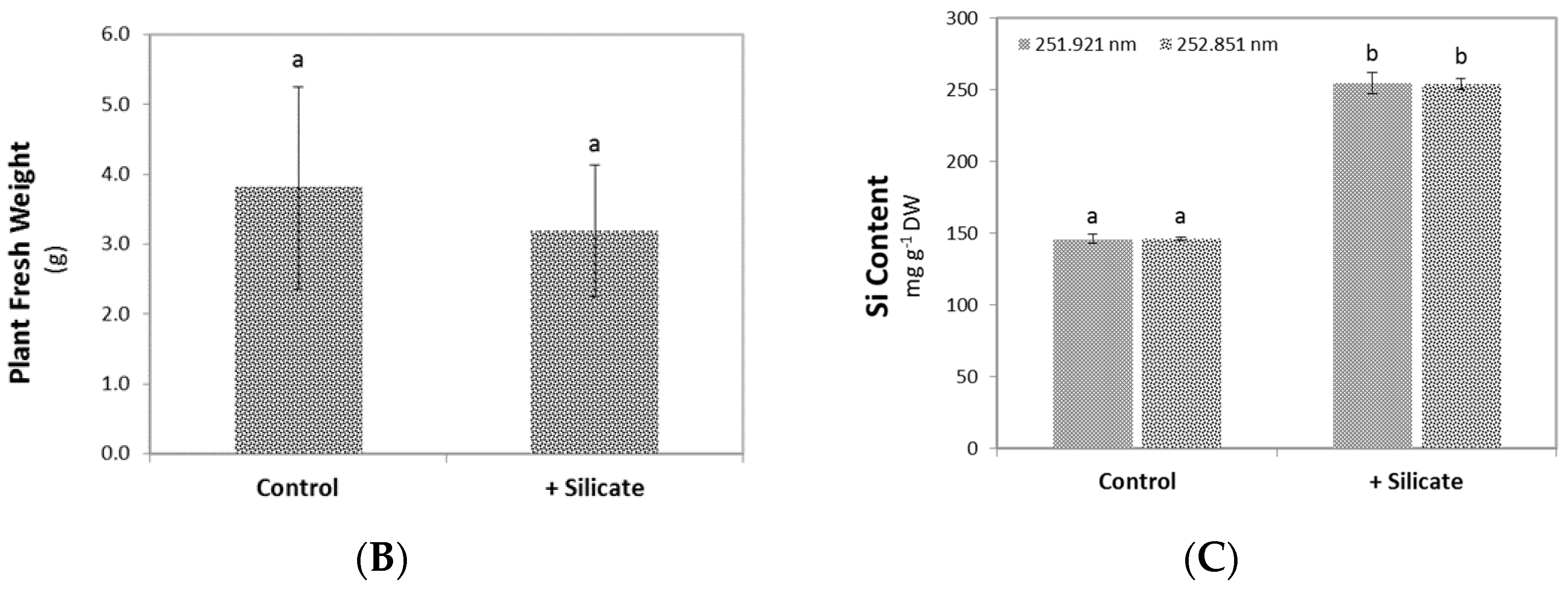 Plants 10 01248 g001b Plants 10 01248 g001b