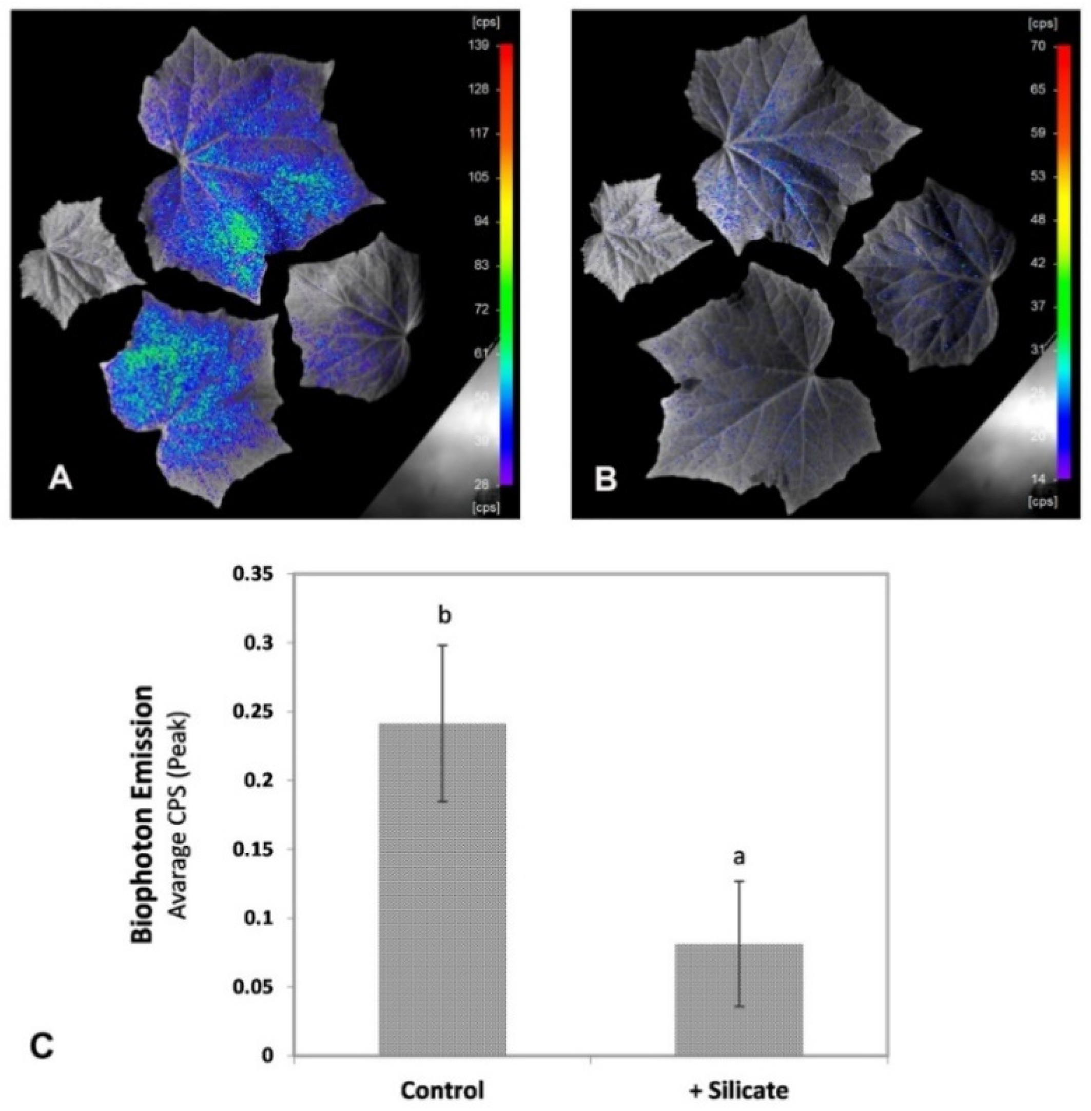 Plants 10 01248 g002 Plants 10 01248 g002