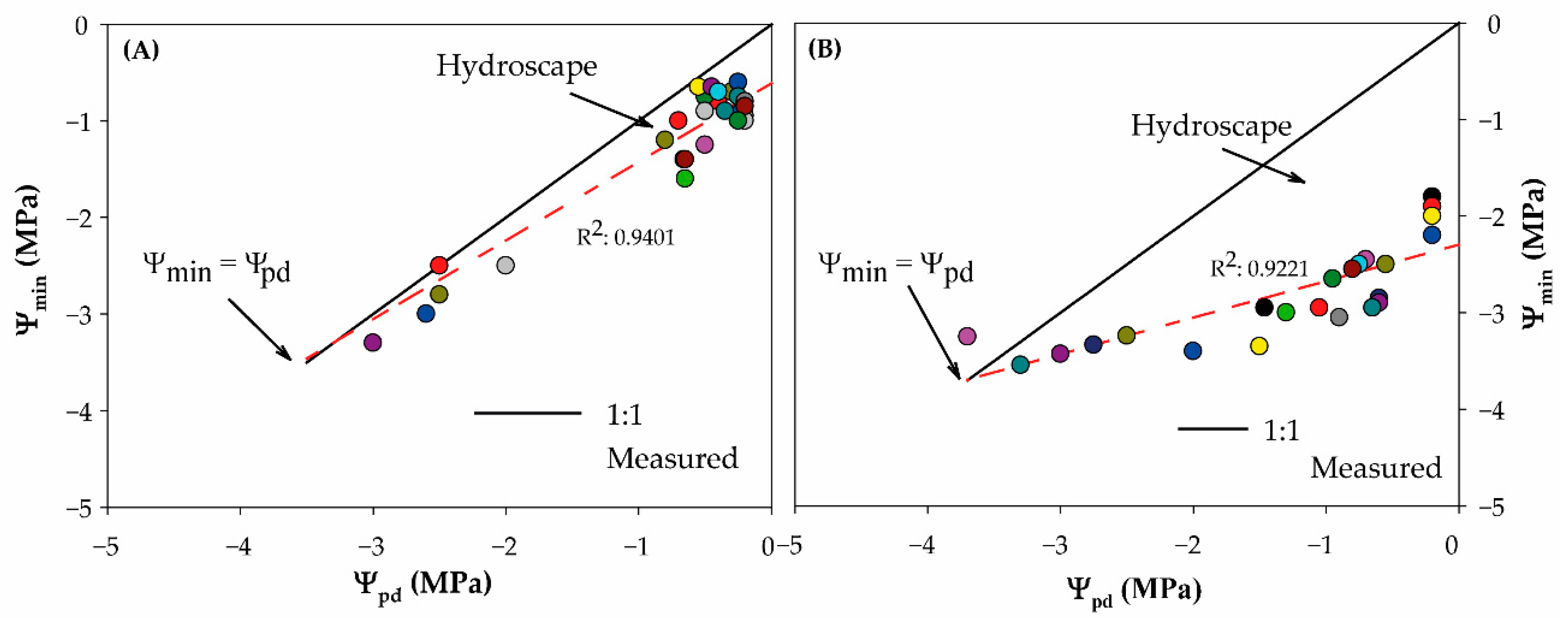 Plants 10 01249 g002