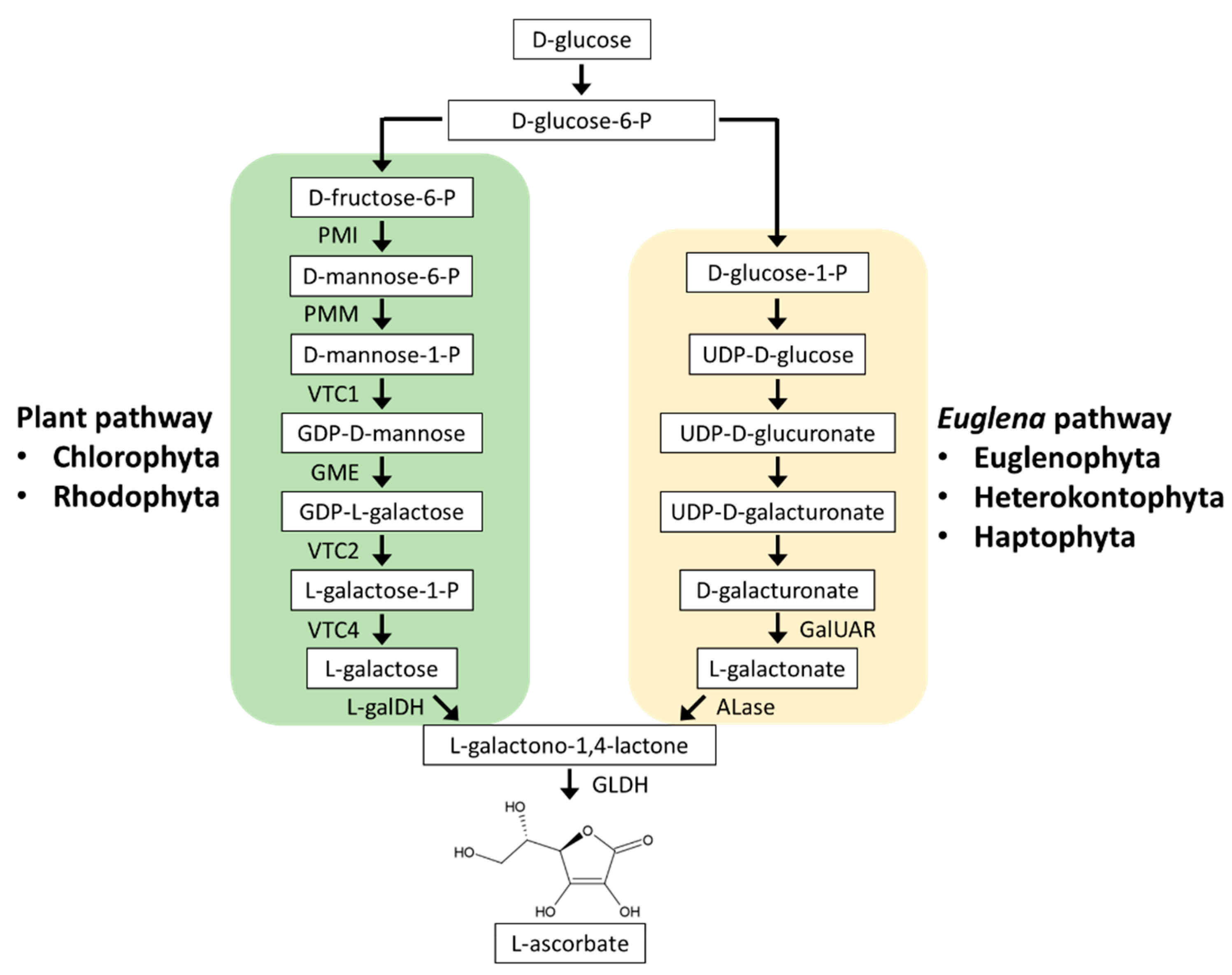Plants 10 01250 g002