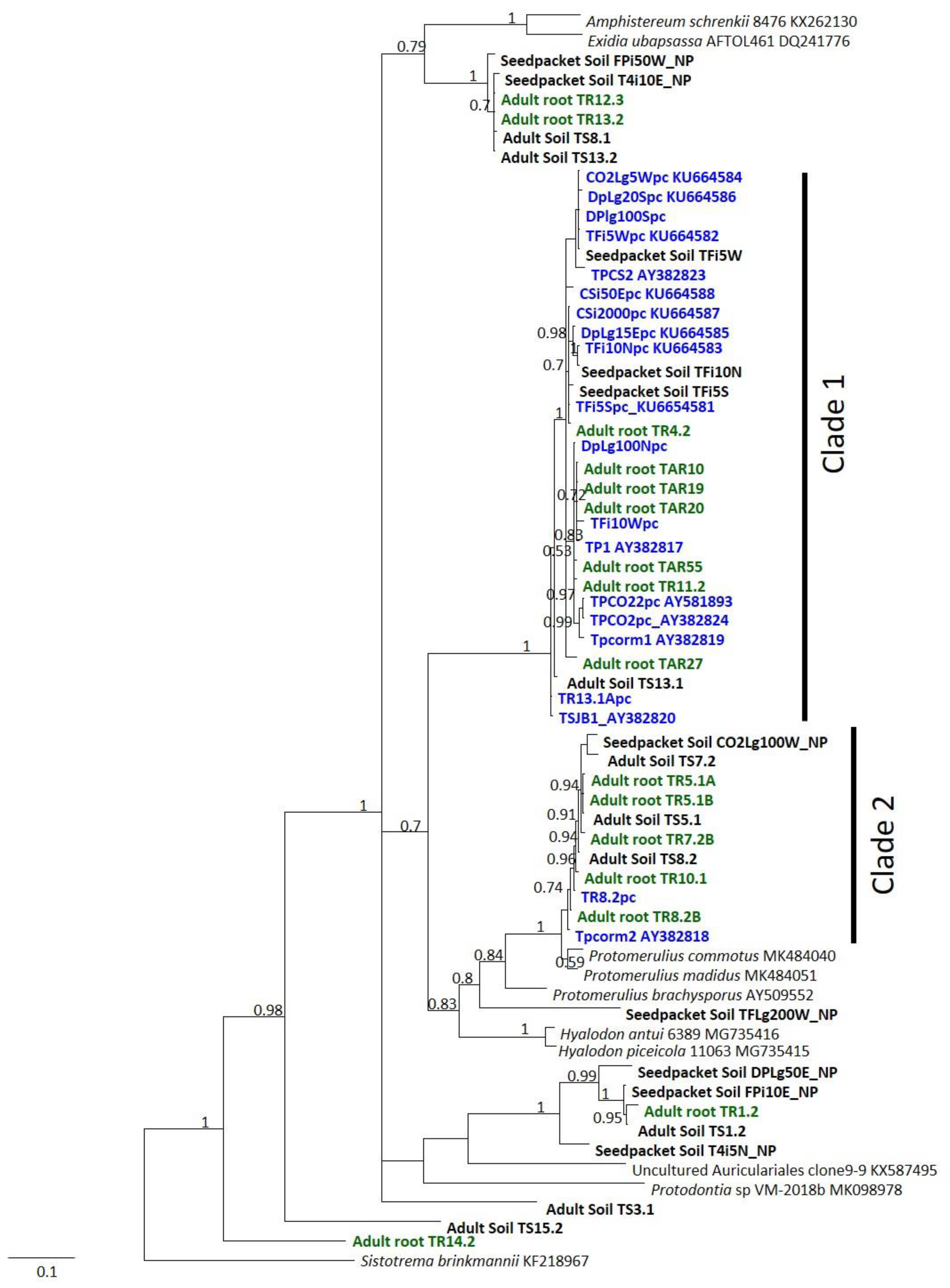 Plants 10 01251 g001