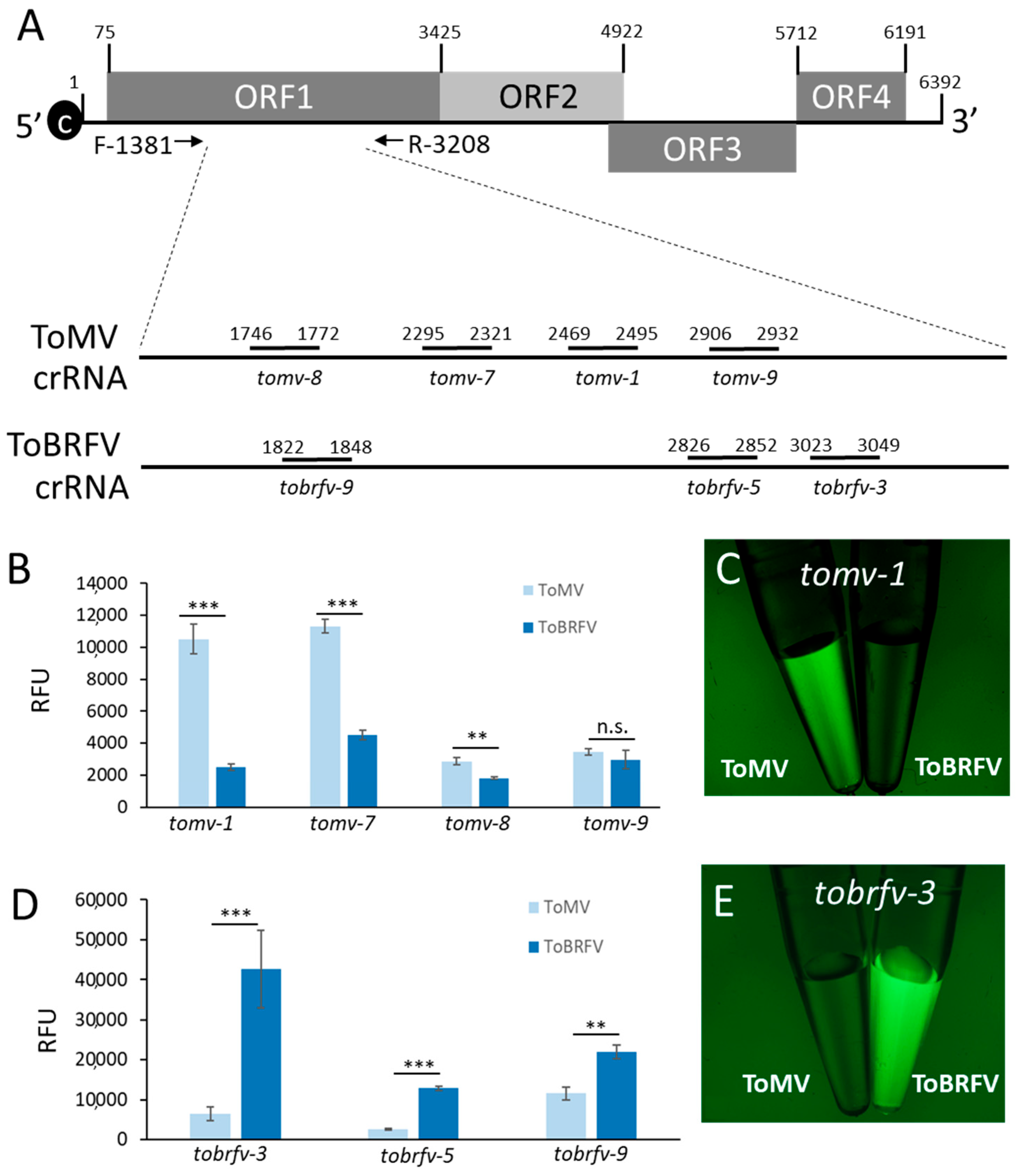 Plants 10 01256 g002 550