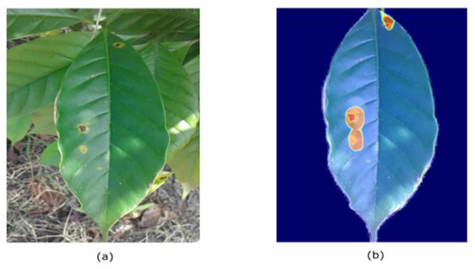 Plants 10 01257 g012 550
