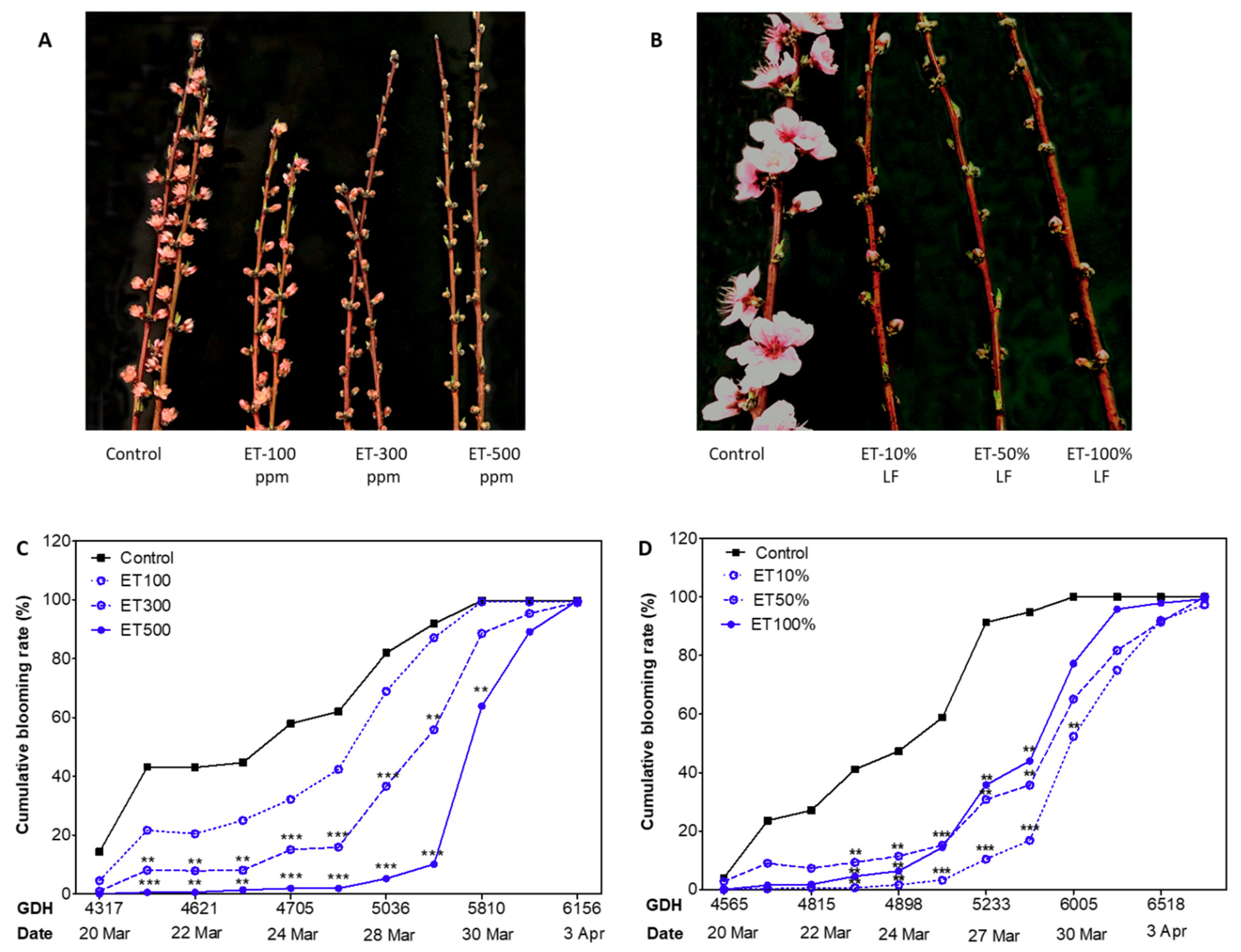 Plants 10 01266 g004 550