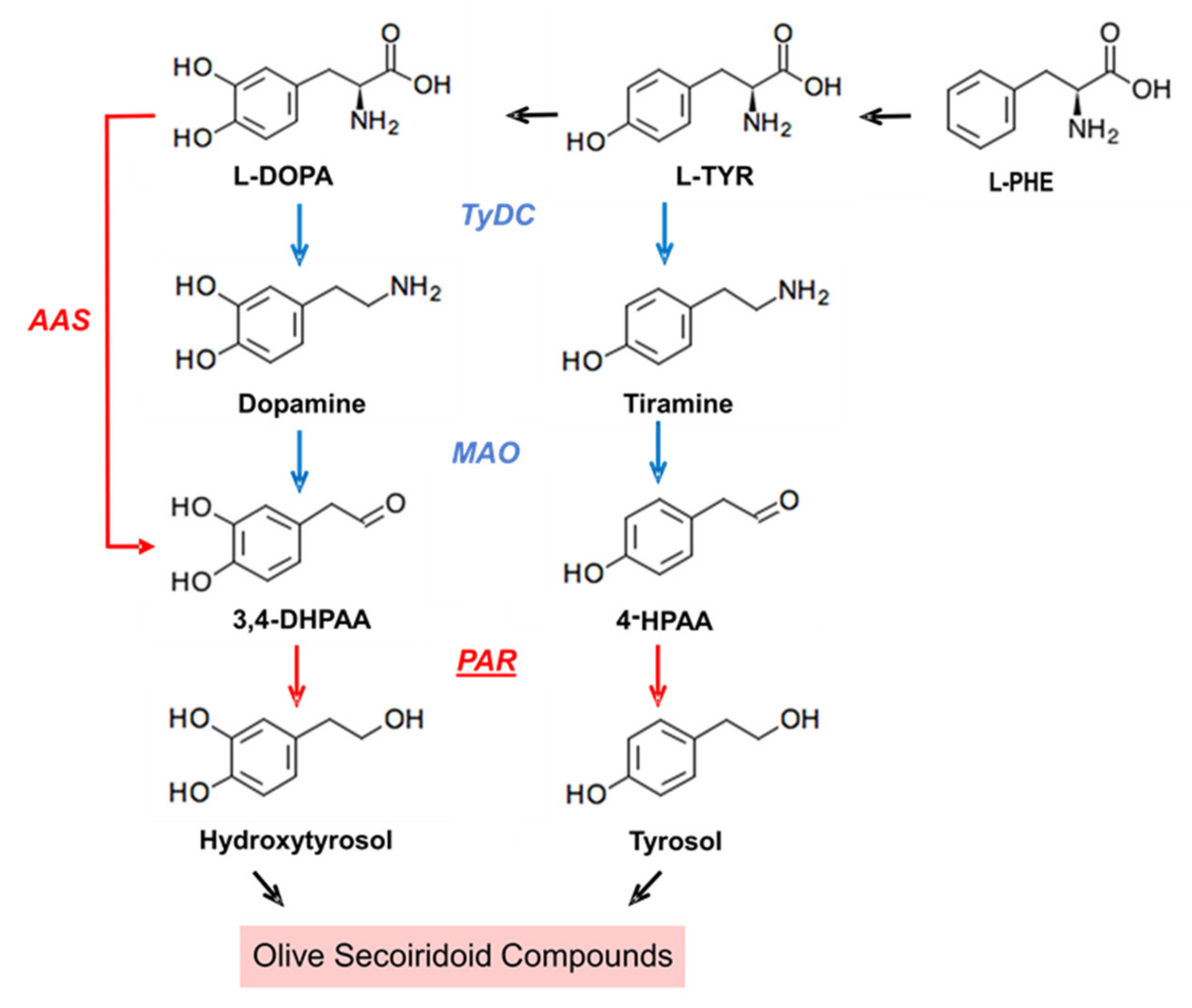 Plants 10 01268 g001