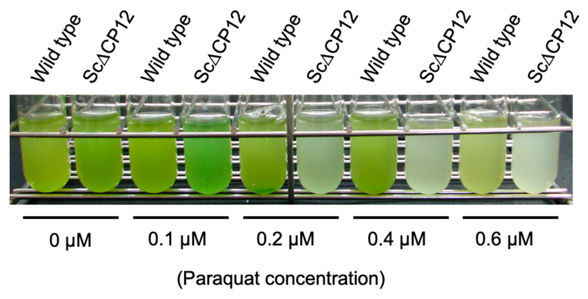 Plants 10 01275 g005 Plants 10 01275 g005