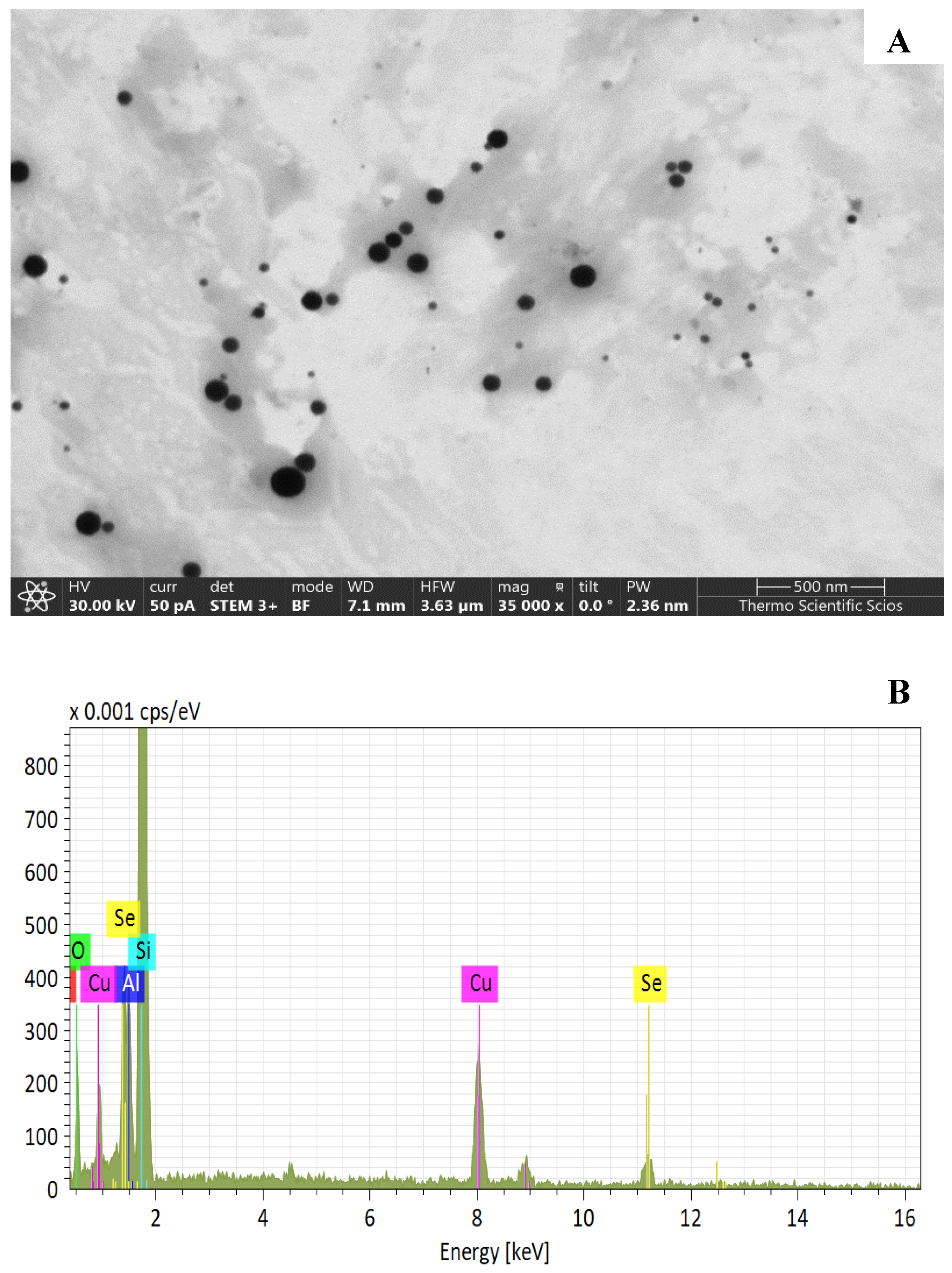 Plants 10 01277 g005