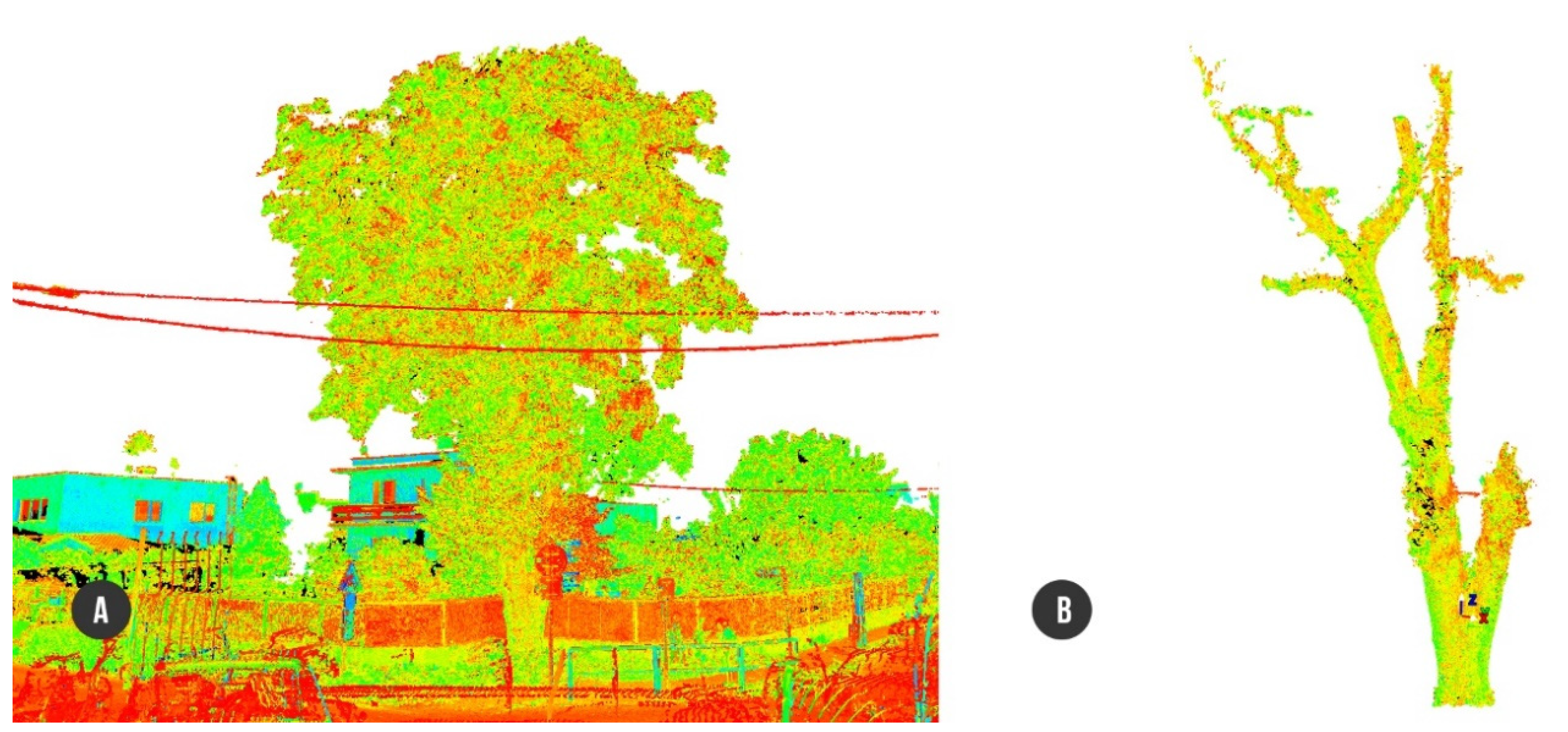 Plants 10 01284 g001 550