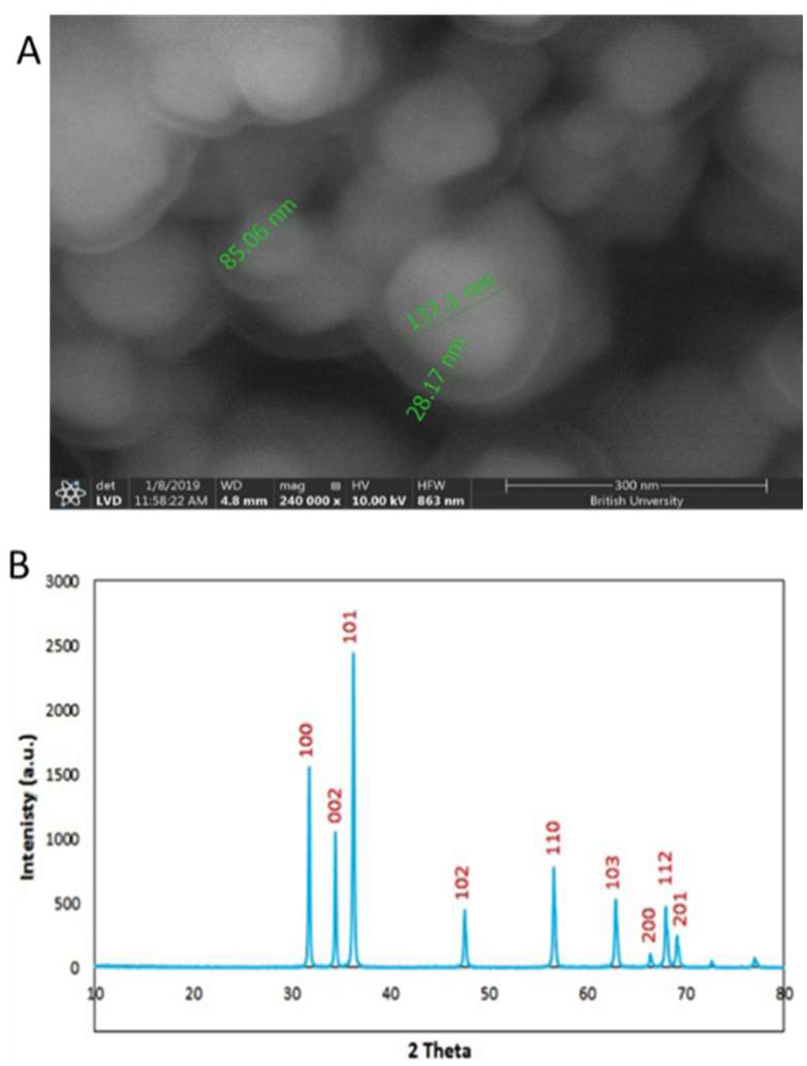Plants 10 01285 g002 550