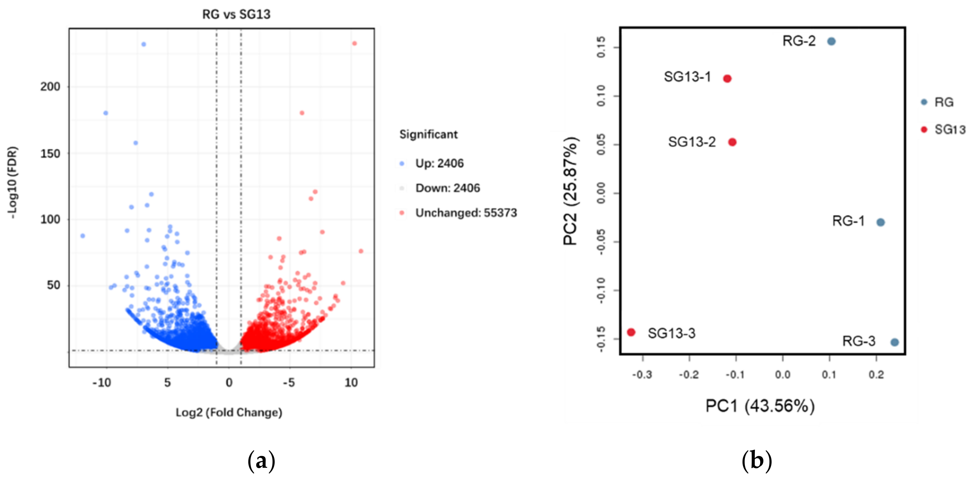 Plants 10 01288 g001