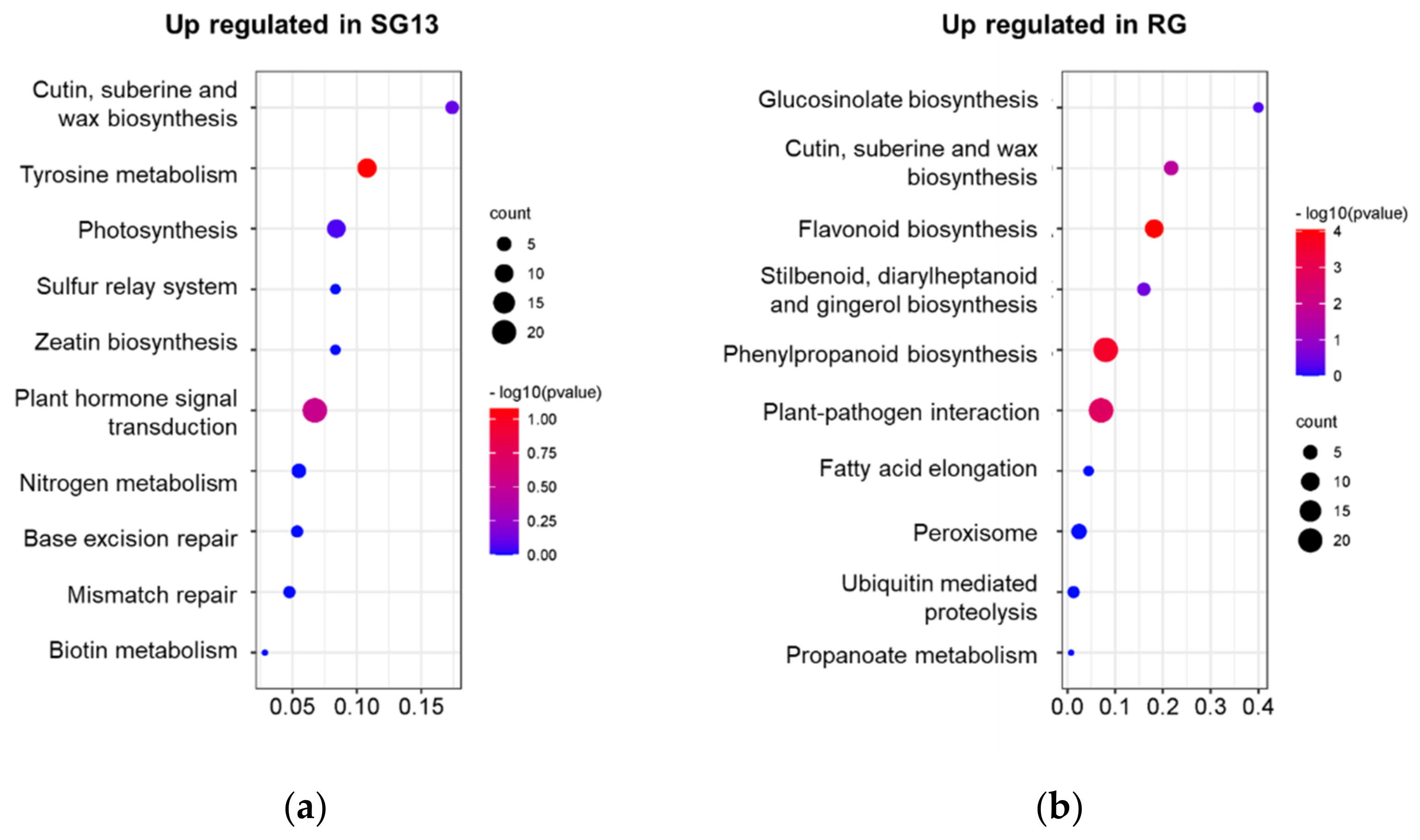 Plants 10 01288 g002