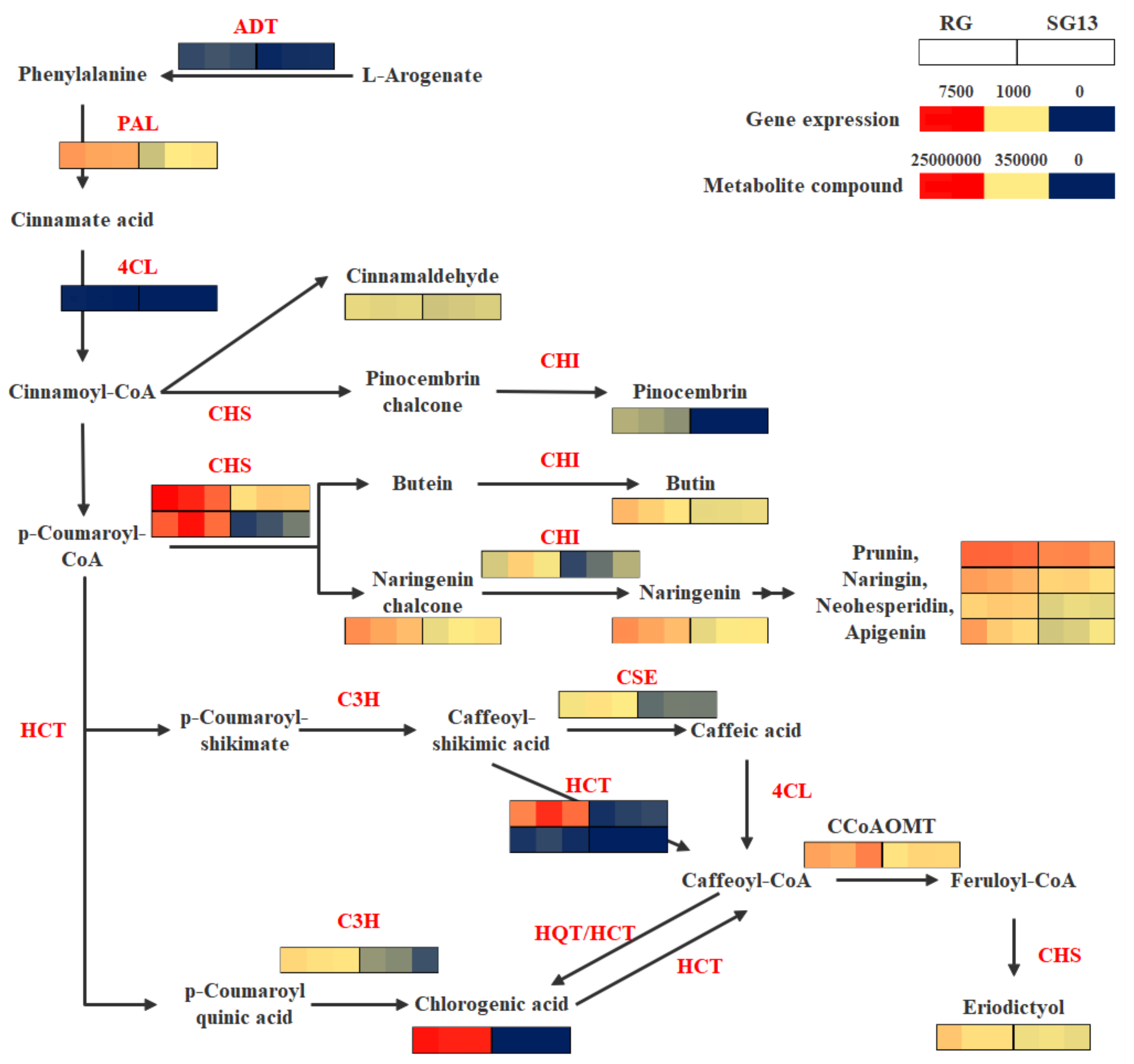 Plants 10 01288 g005