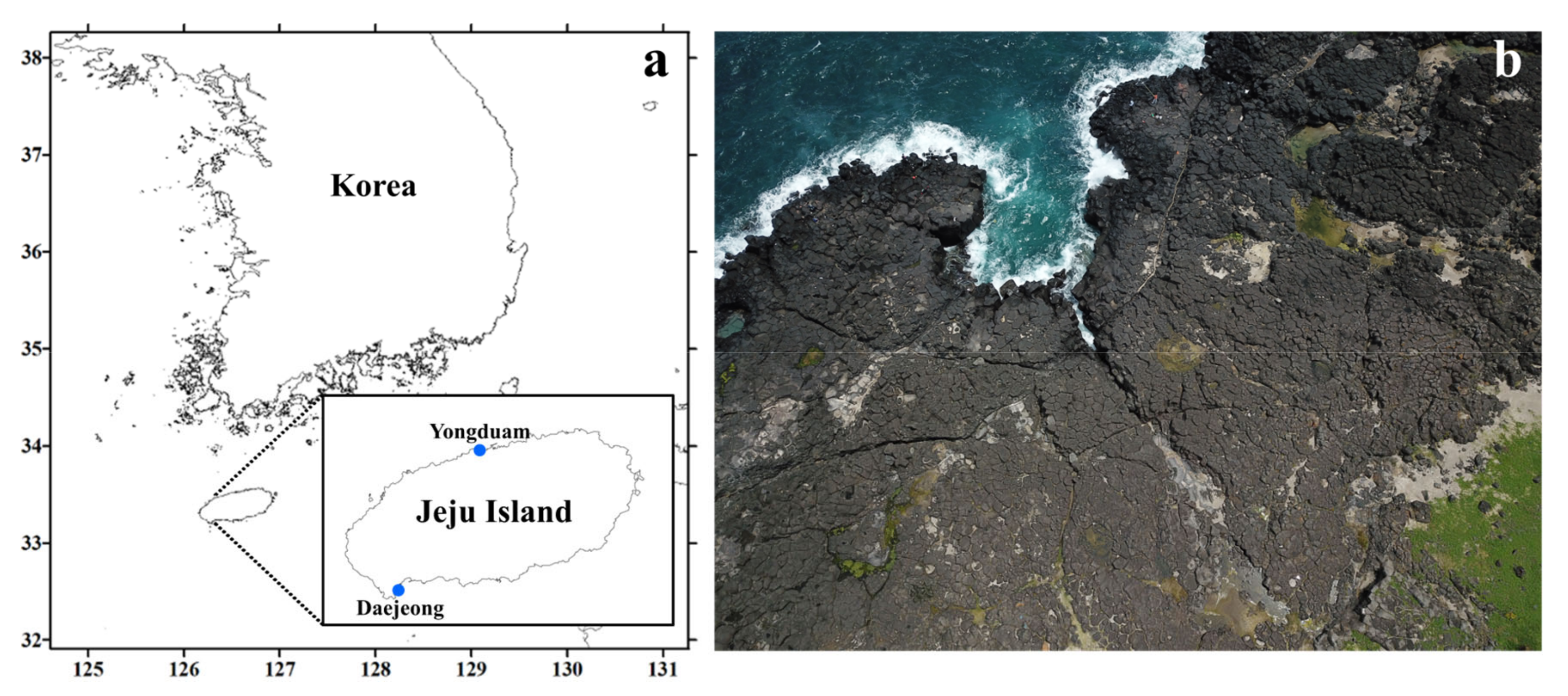 Plants 10 01289 g011 Plants 10 01289 g011