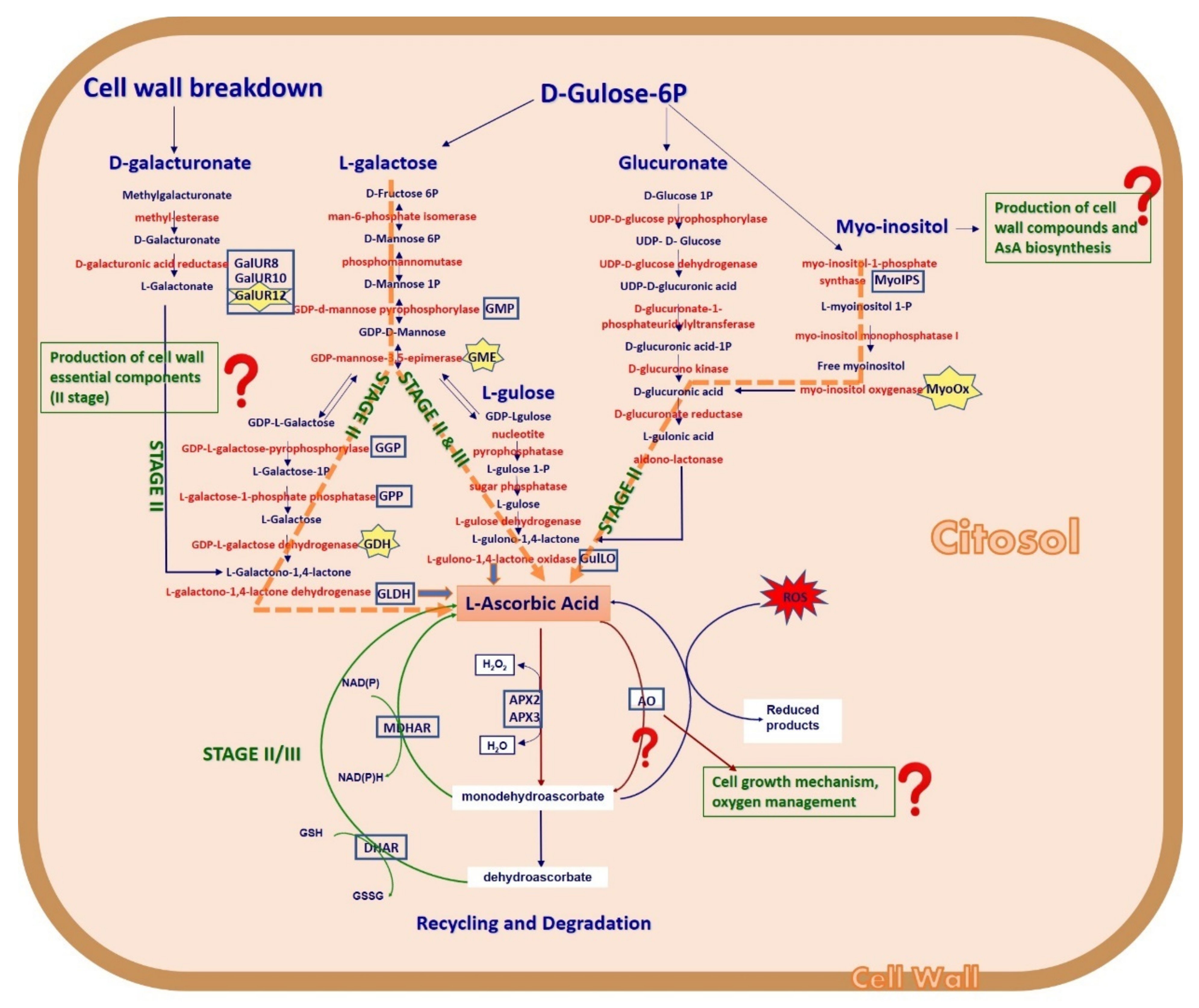 Plants 10 01291 g001 550