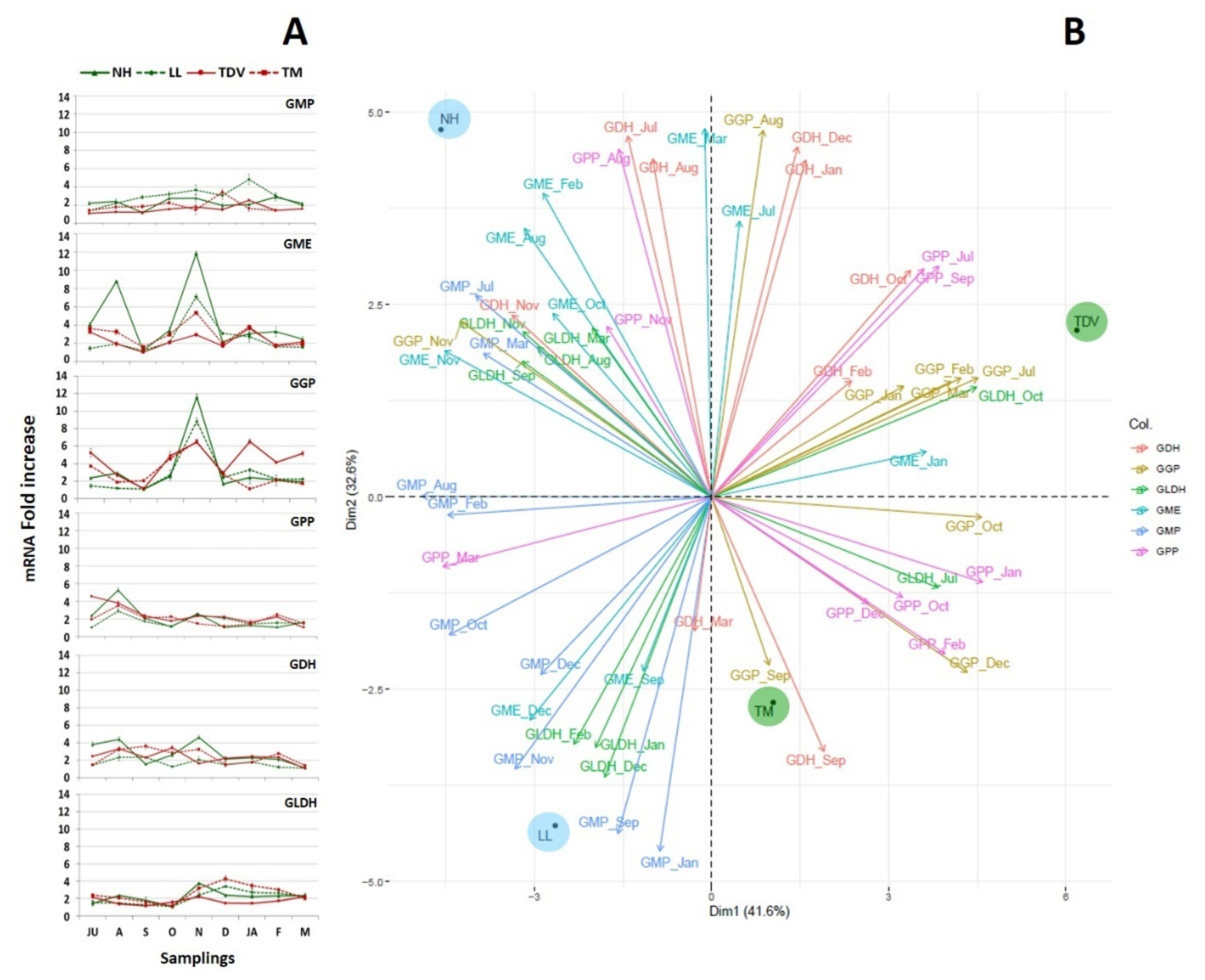 Plants 10 01291 g006 550