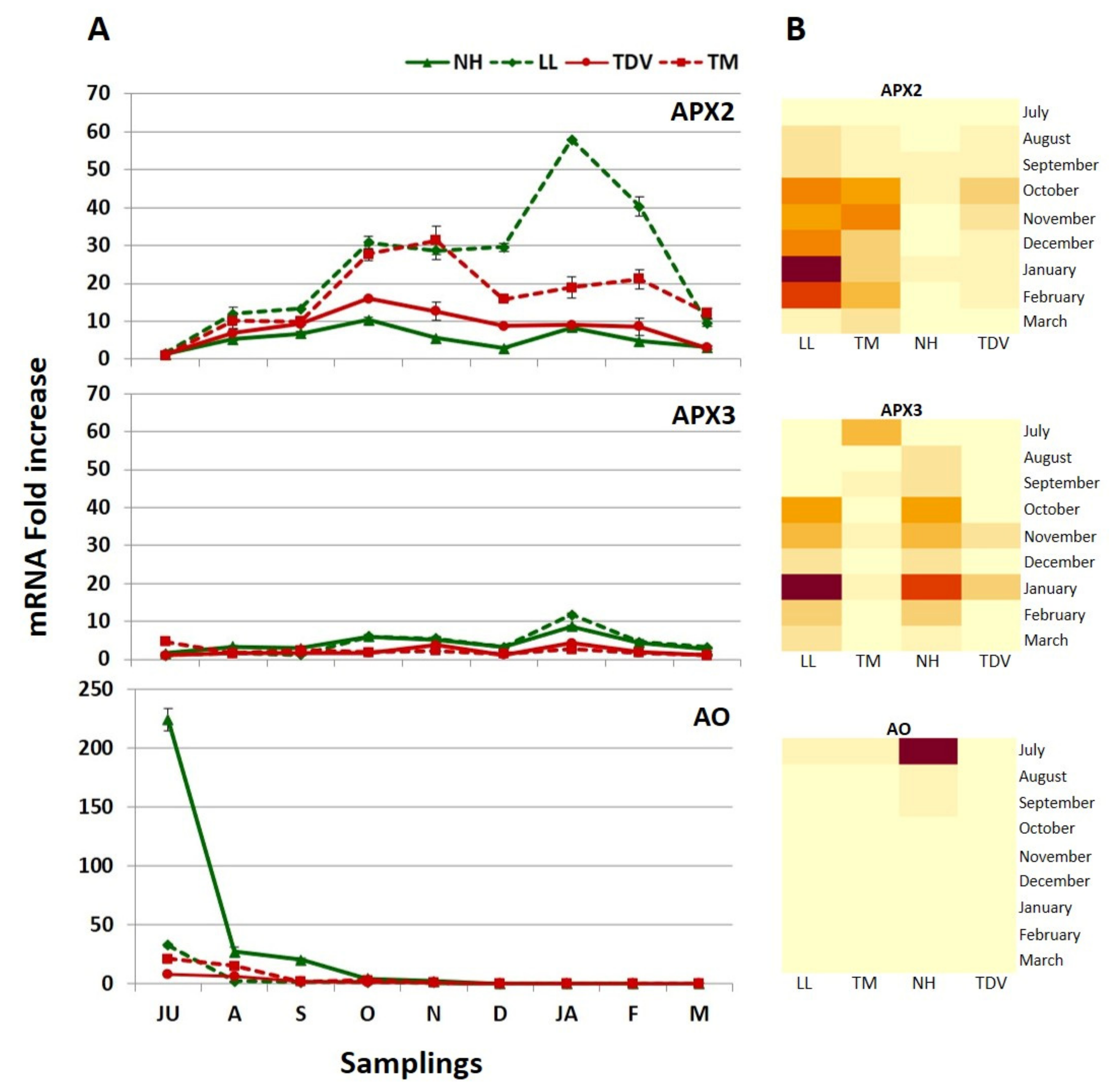 Plants 10 01291 g011 550