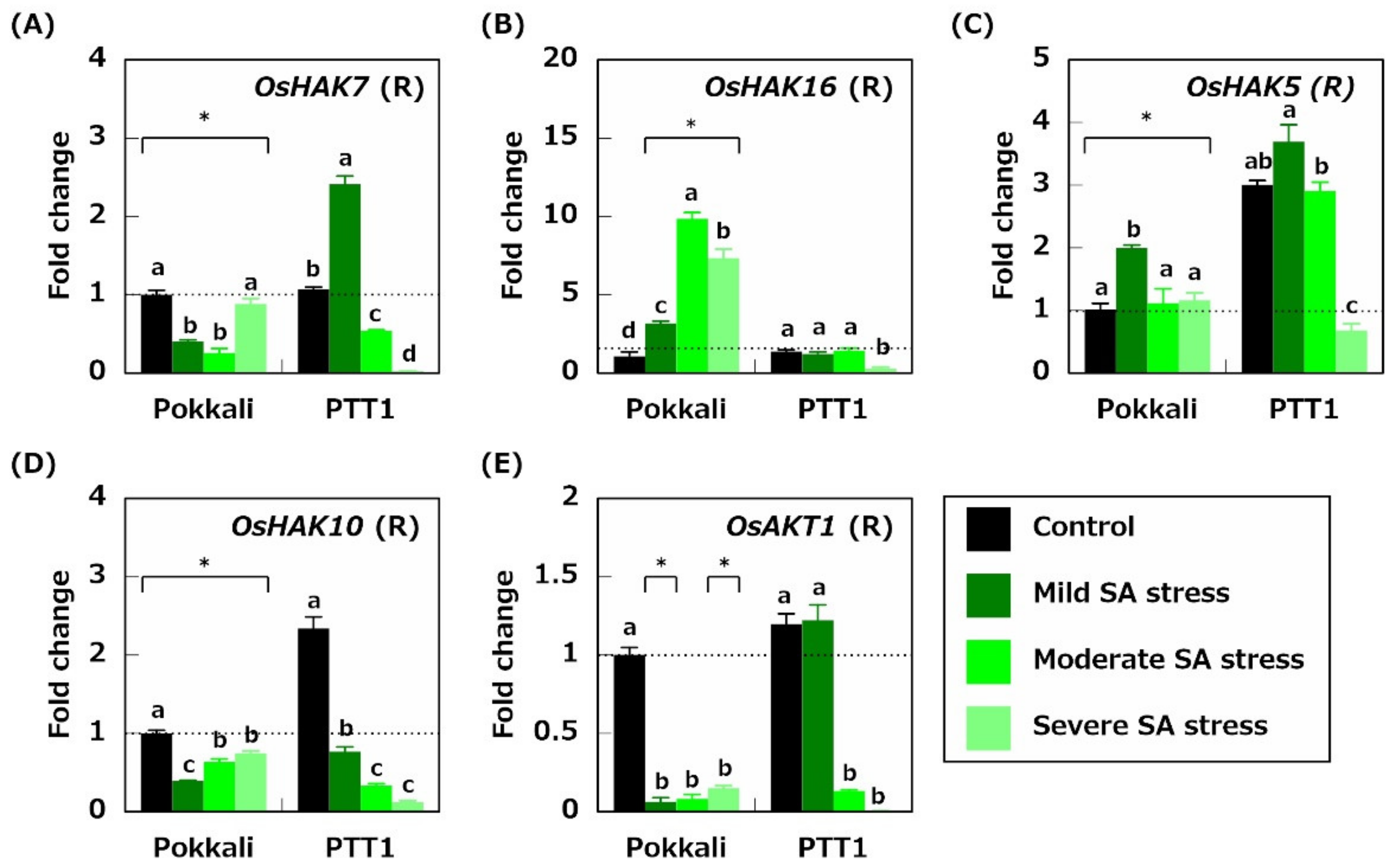 Plants 10 01295 g005
