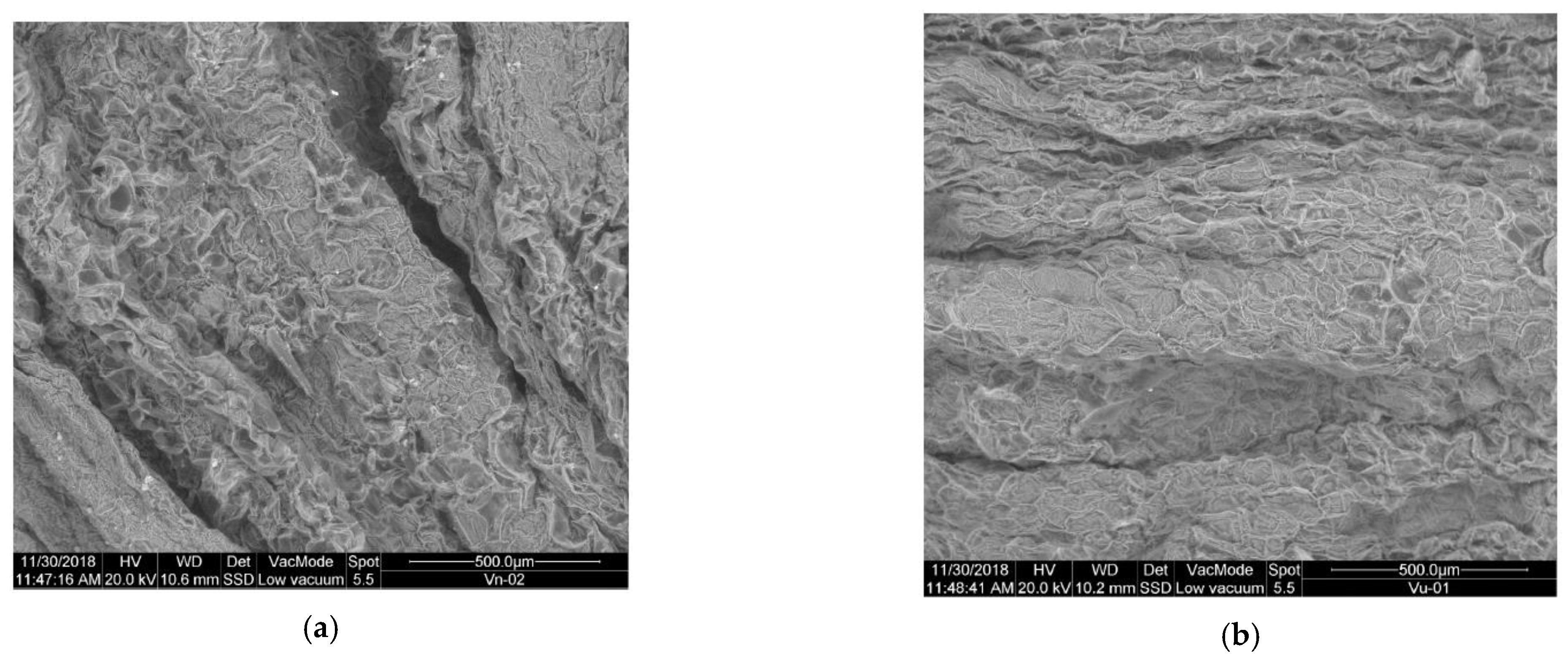 Plants 10 01298 g008