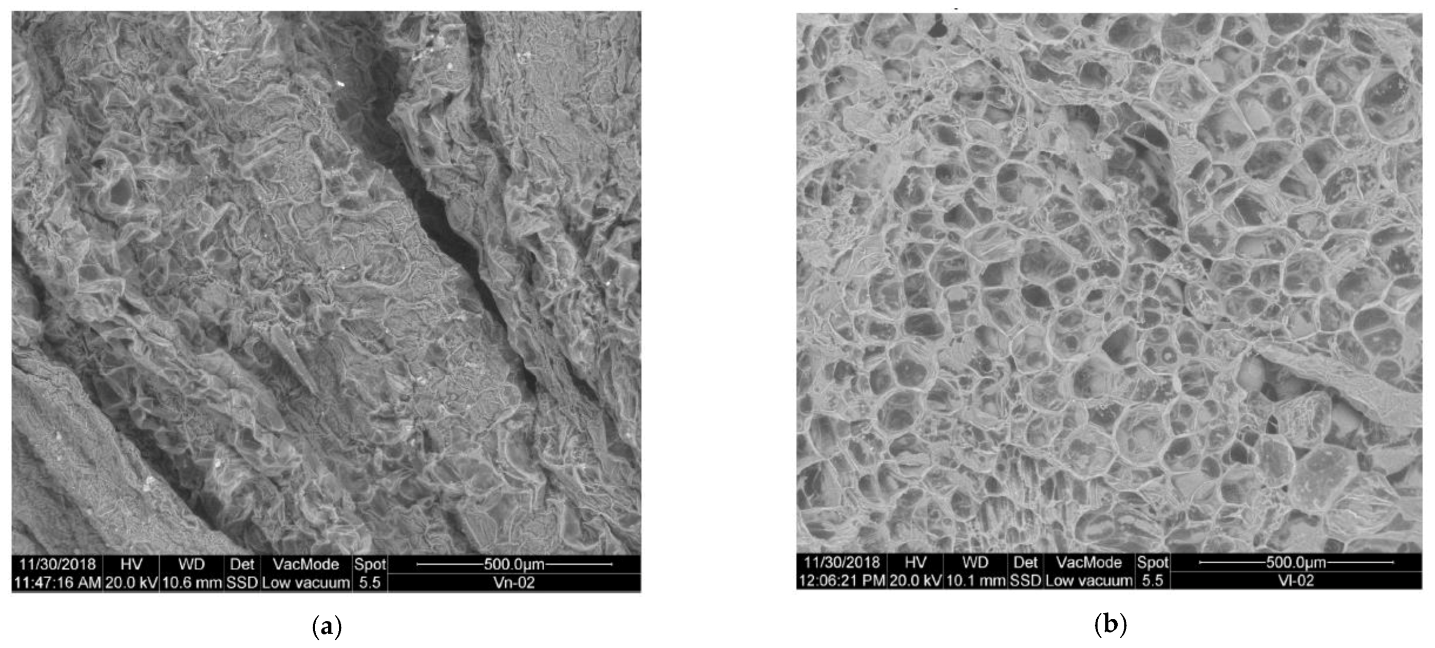 Plants 10 01298 g015