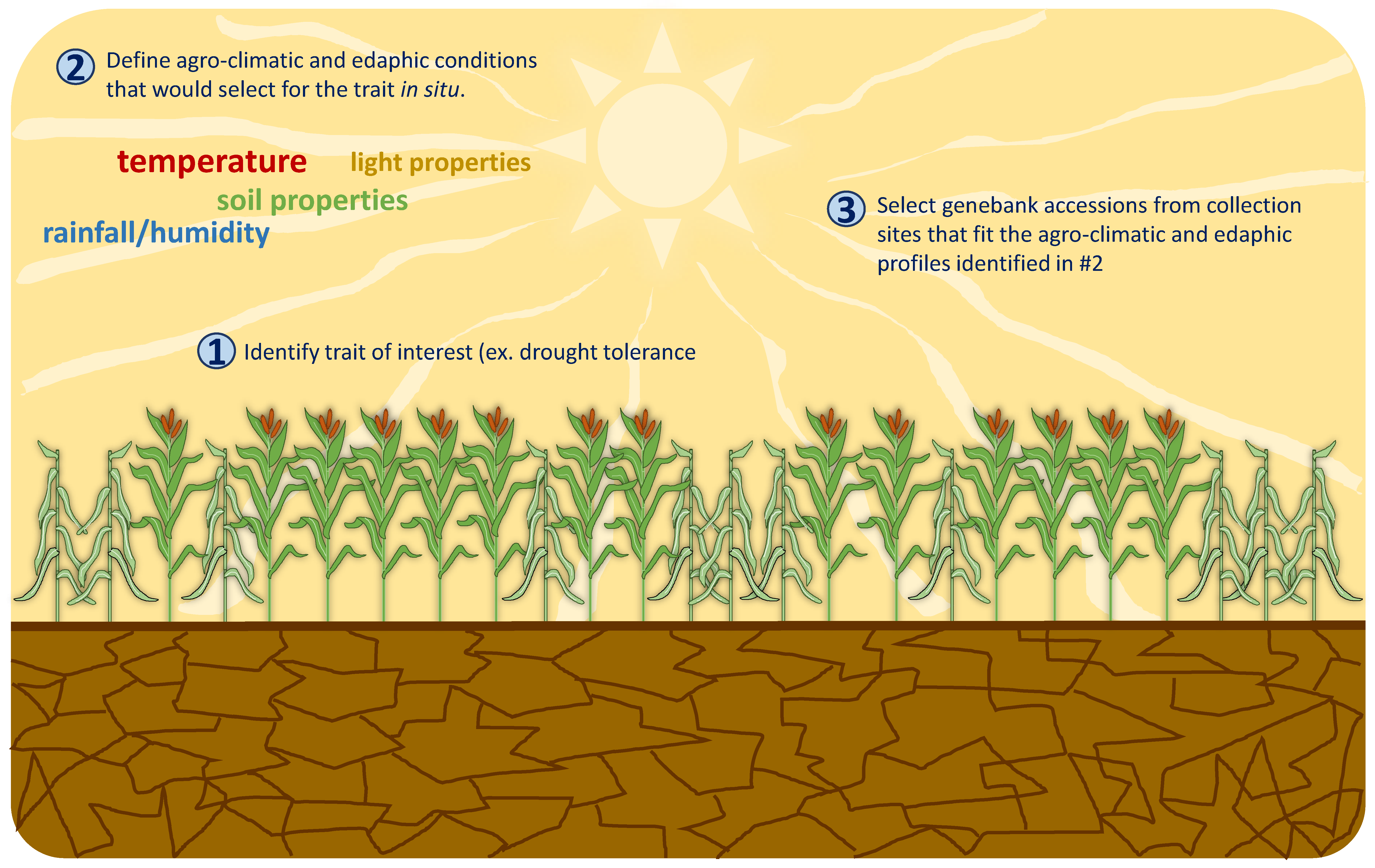 Plants 10 01300 g001