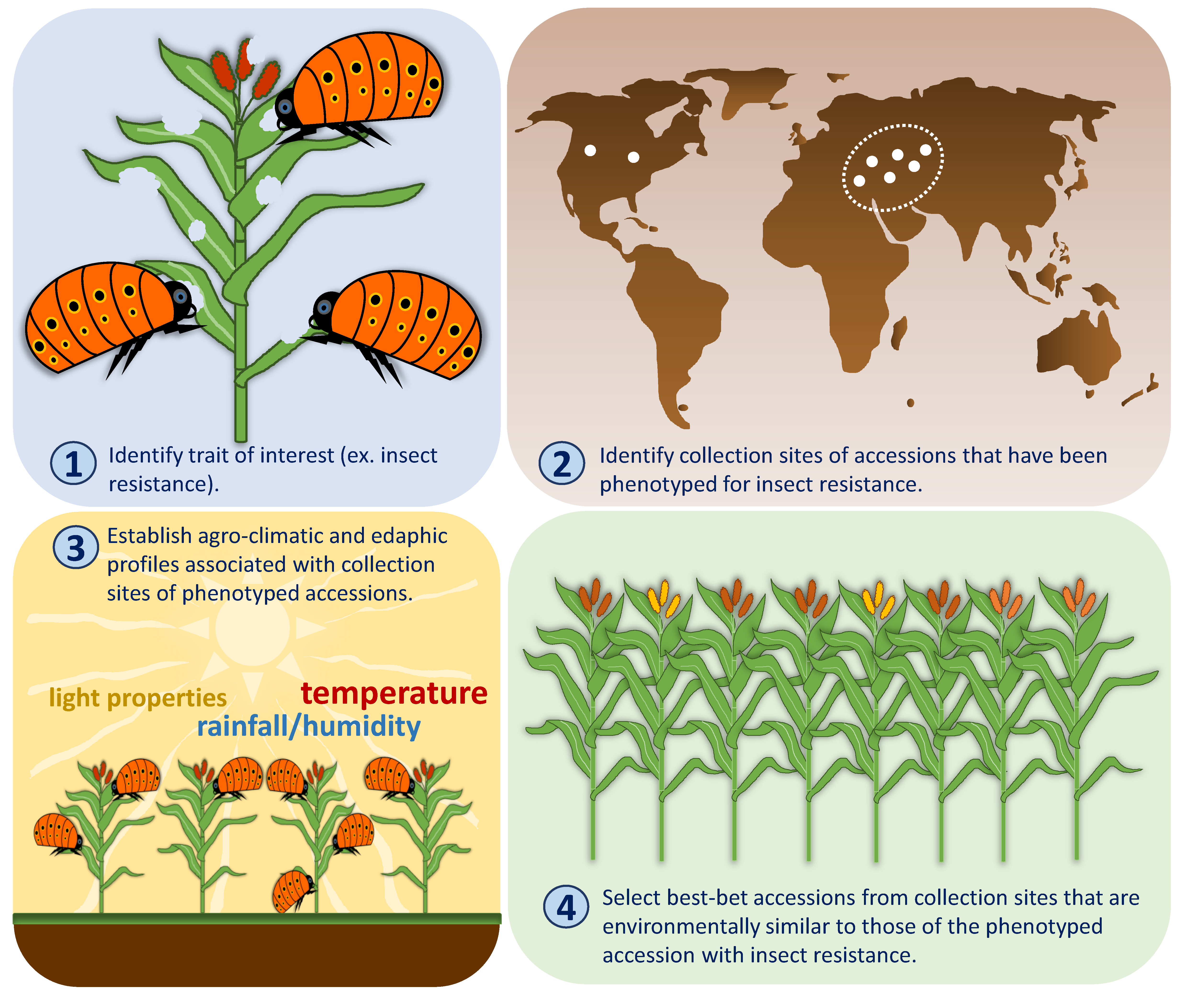 Plants 10 01300 g002