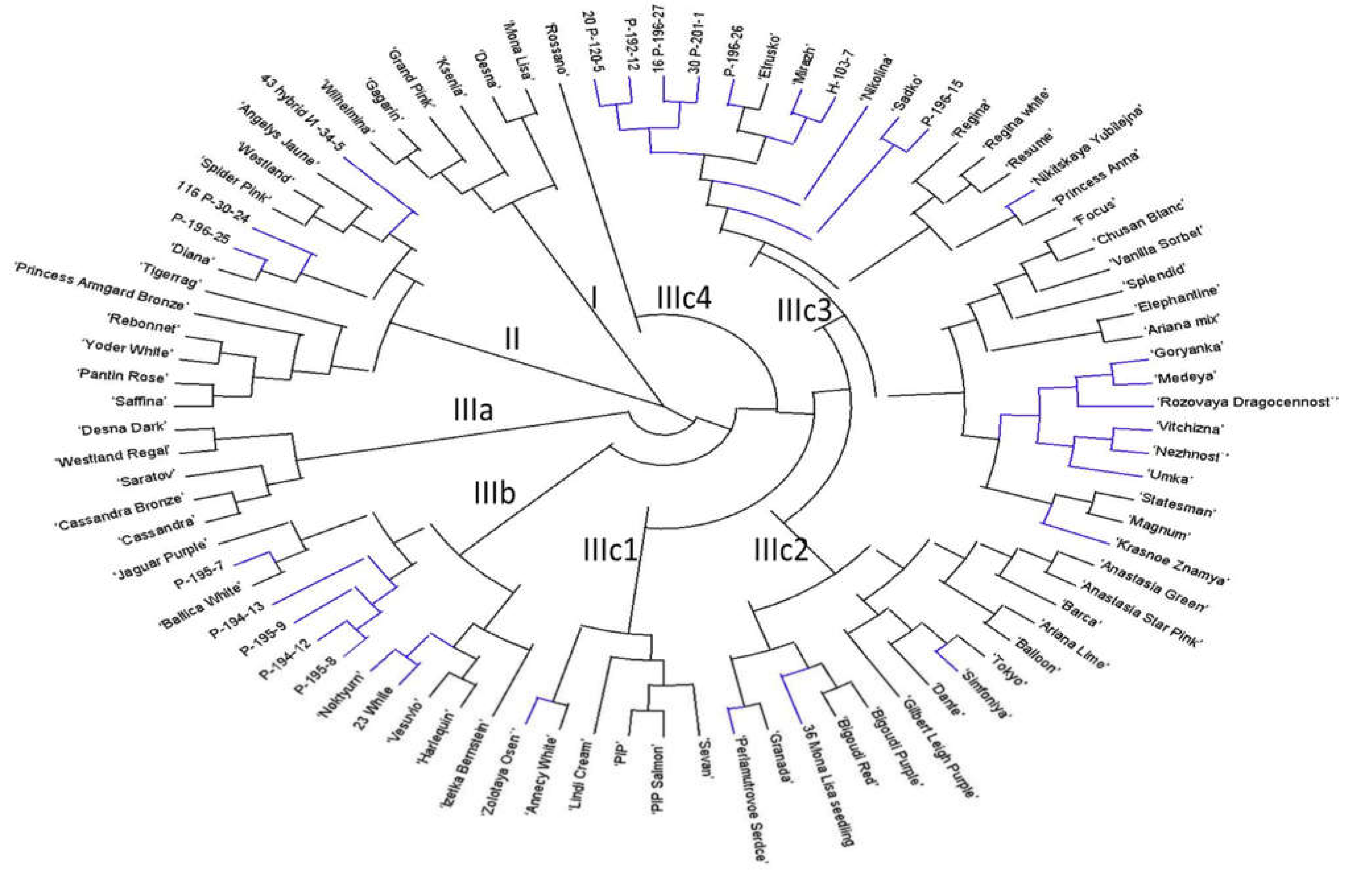 Plants 10 01302 g002 550