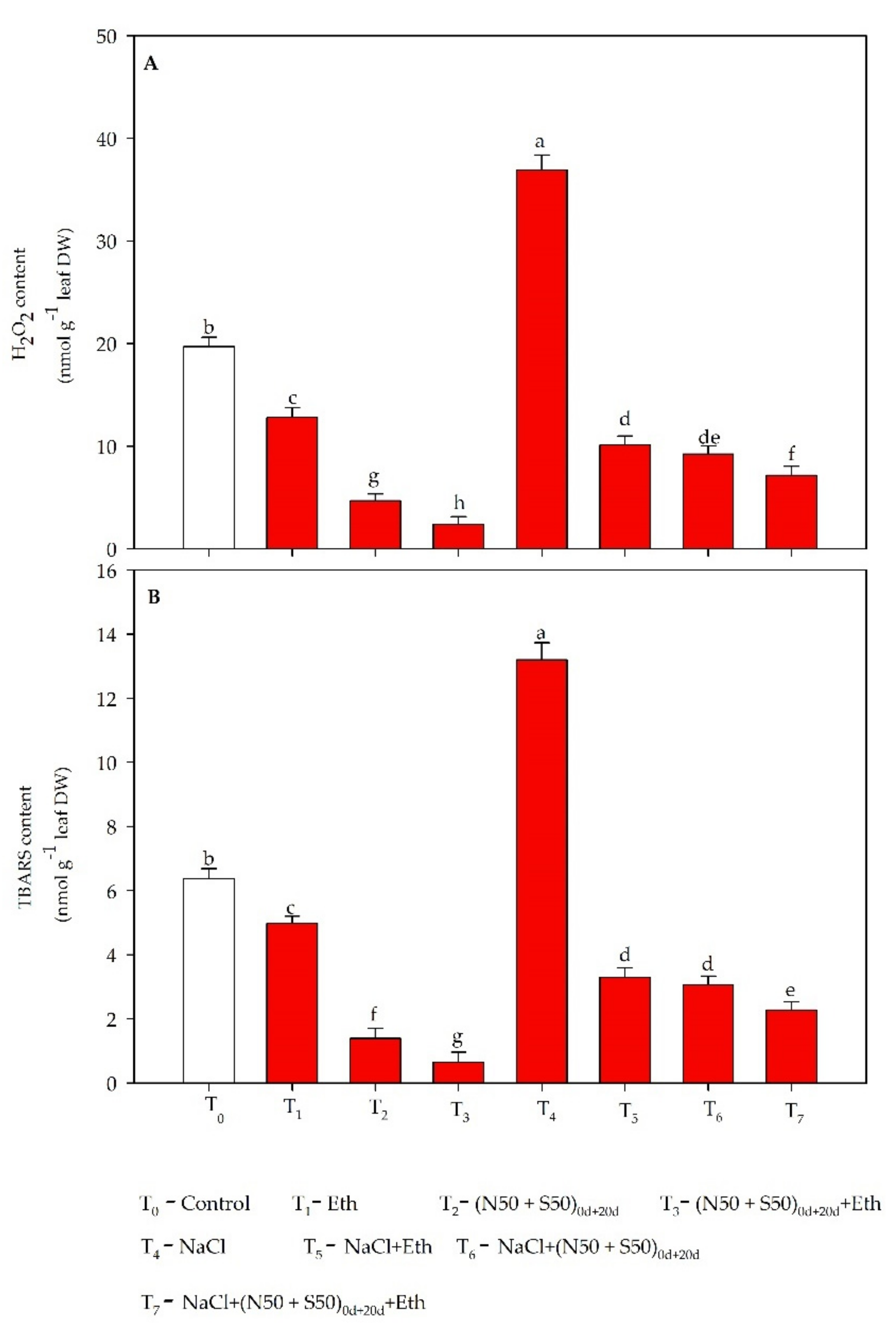 Plants 10 01303 g001