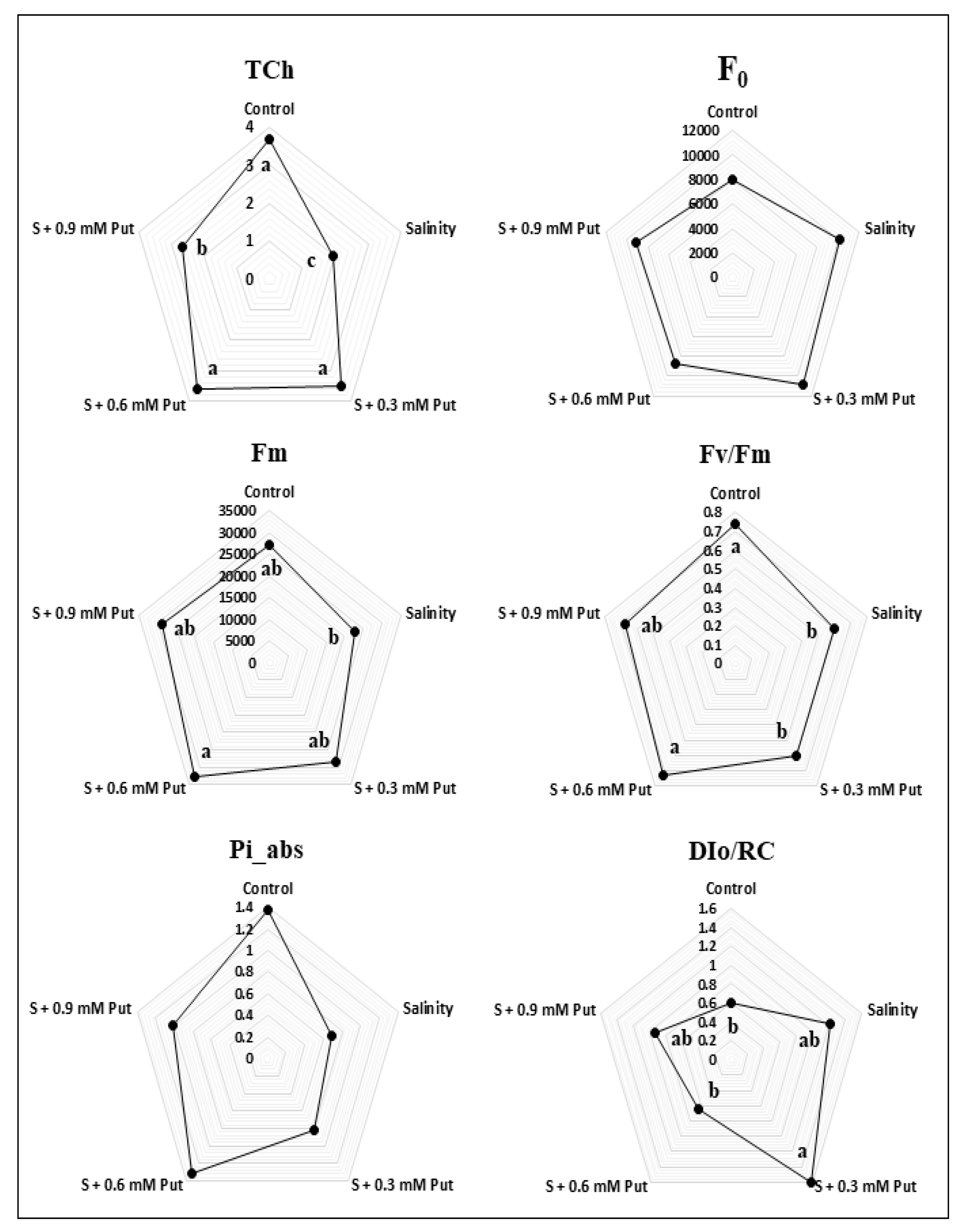 Plants 10 01313 g001