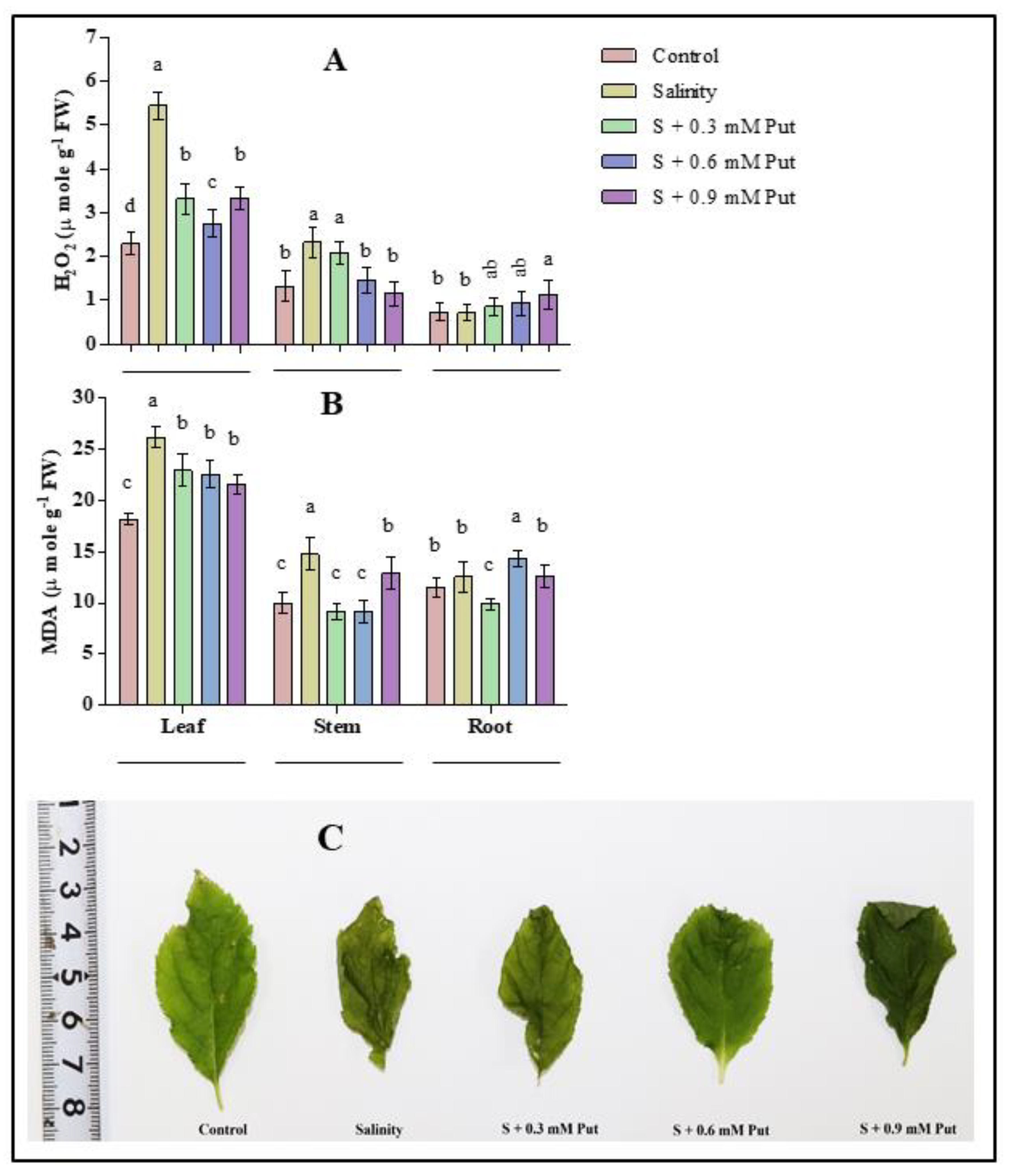 Plants 10 01313 g003