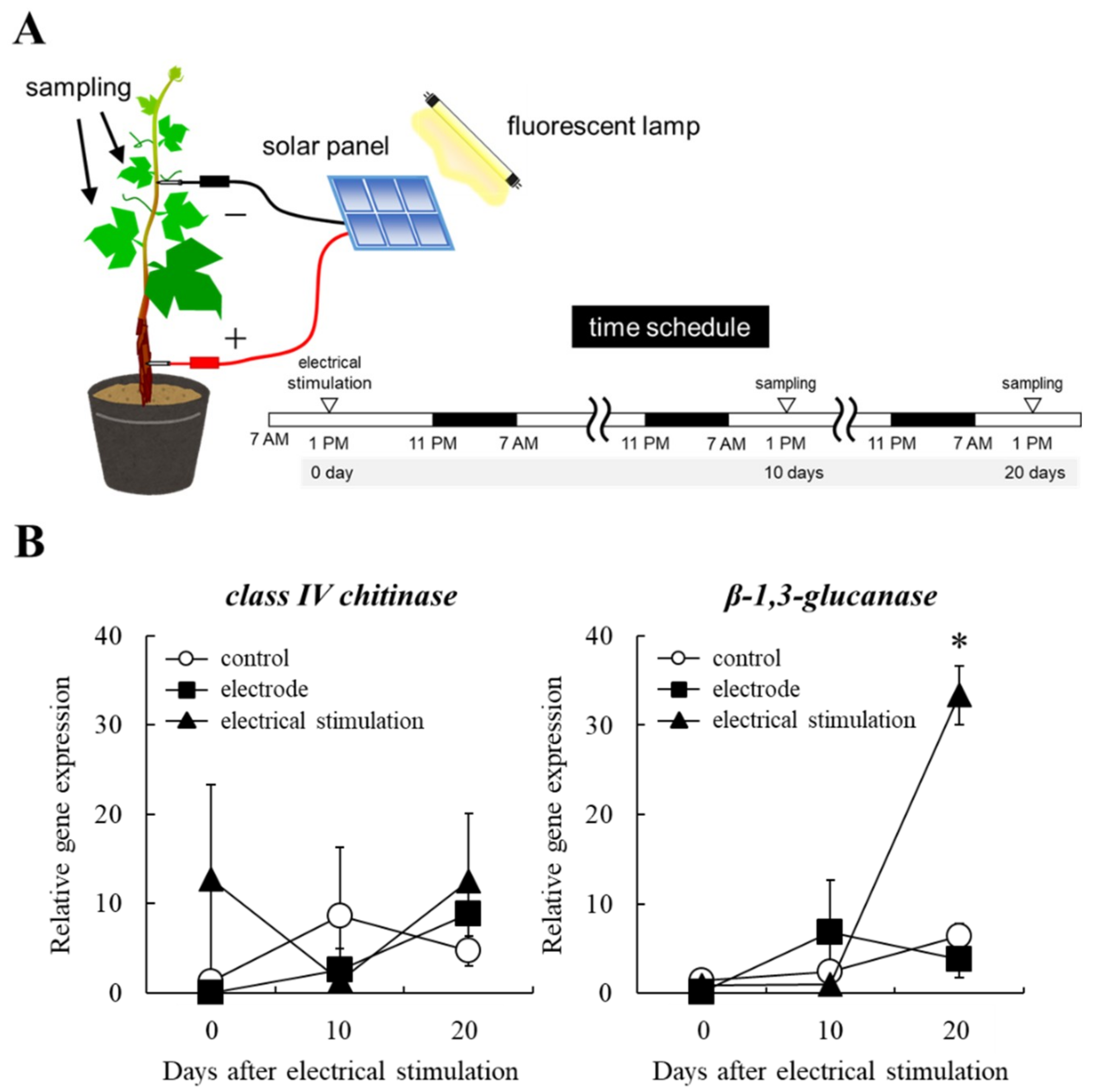 Plants 10 01316 g002