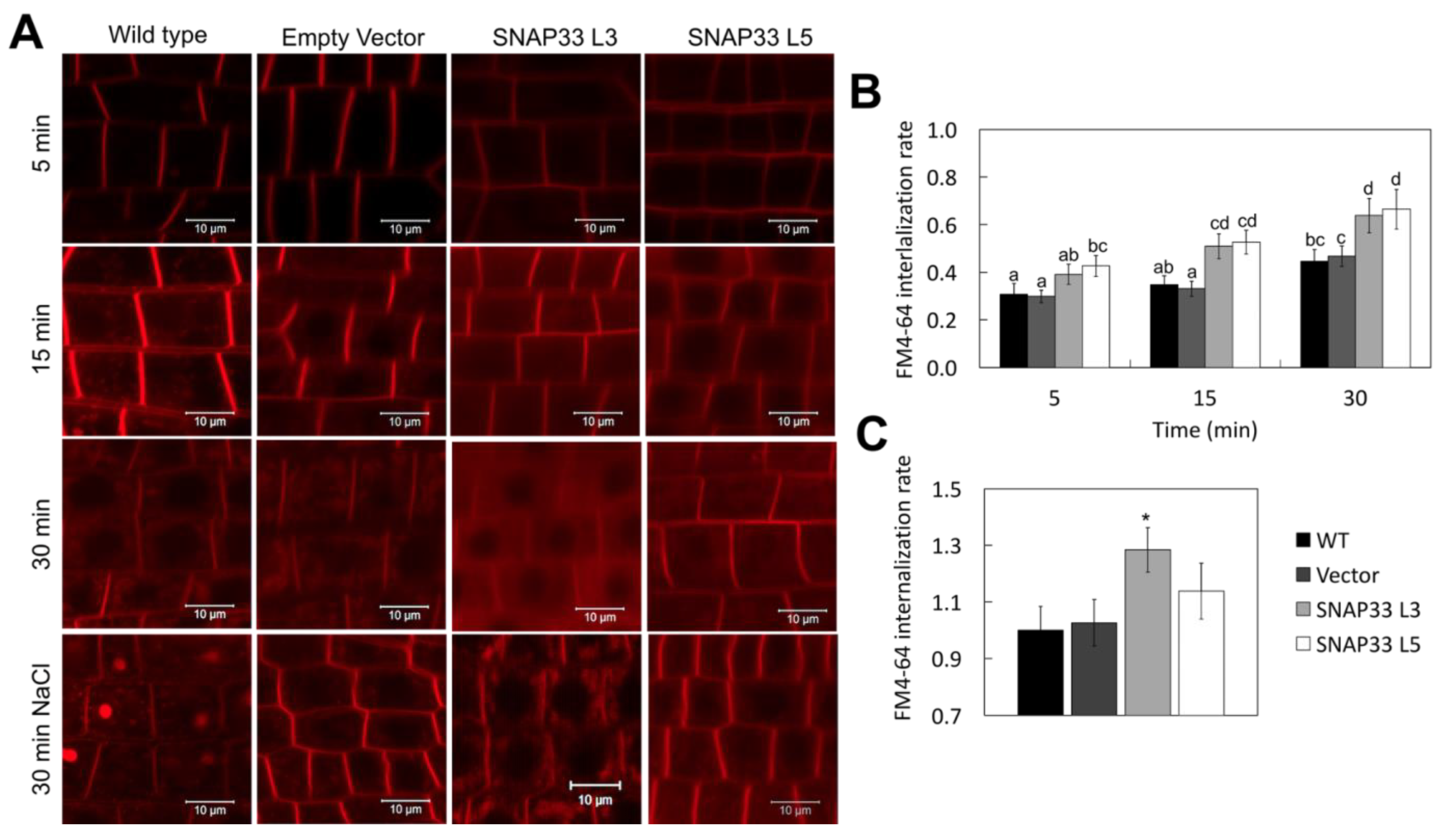Plants 10 01322 g003