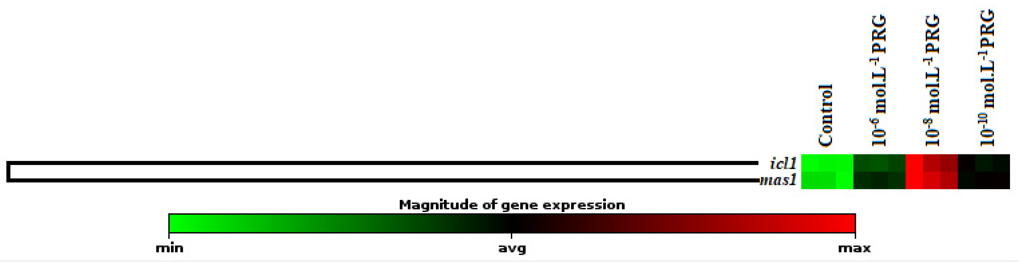 Plants 10 01326 g002