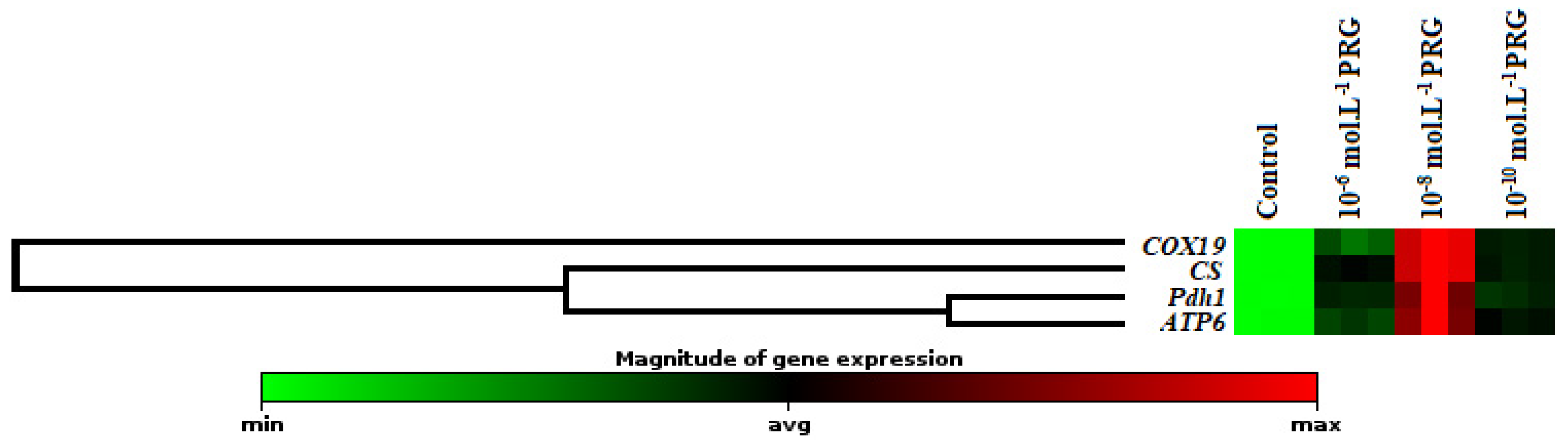 Plants 10 01326 g003