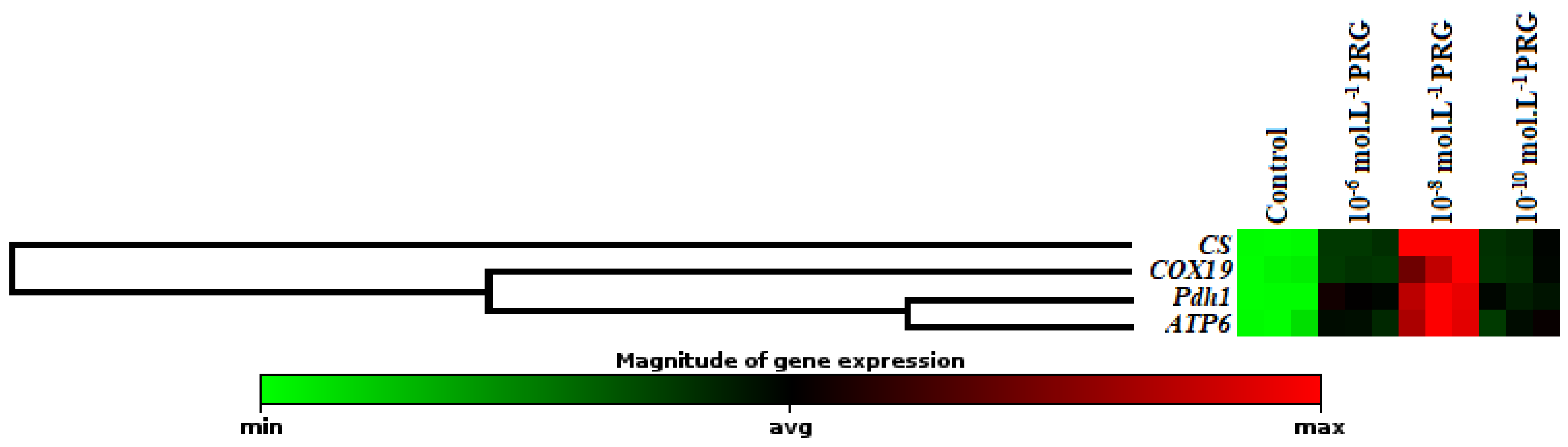 Plants 10 01326 g004