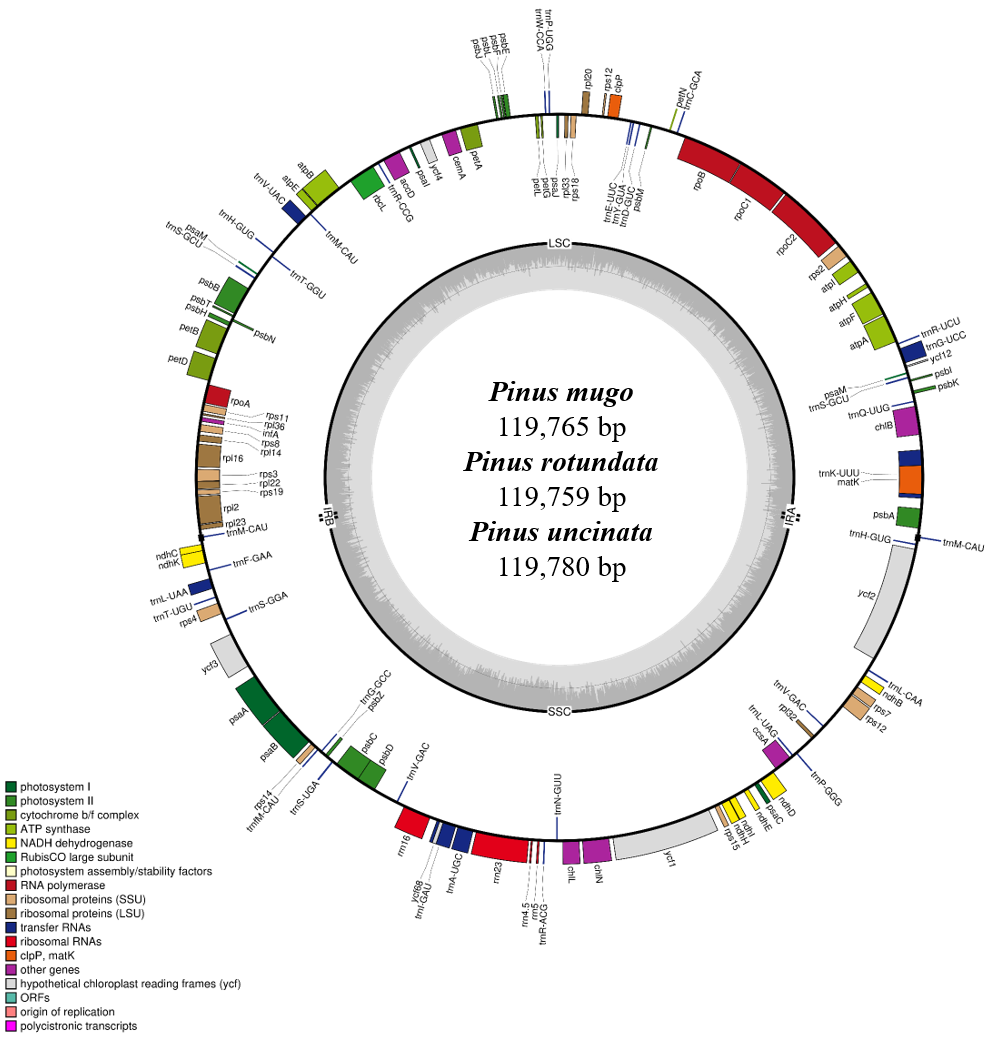 Plants 10 01331 g001 Plants 10 01331 g001