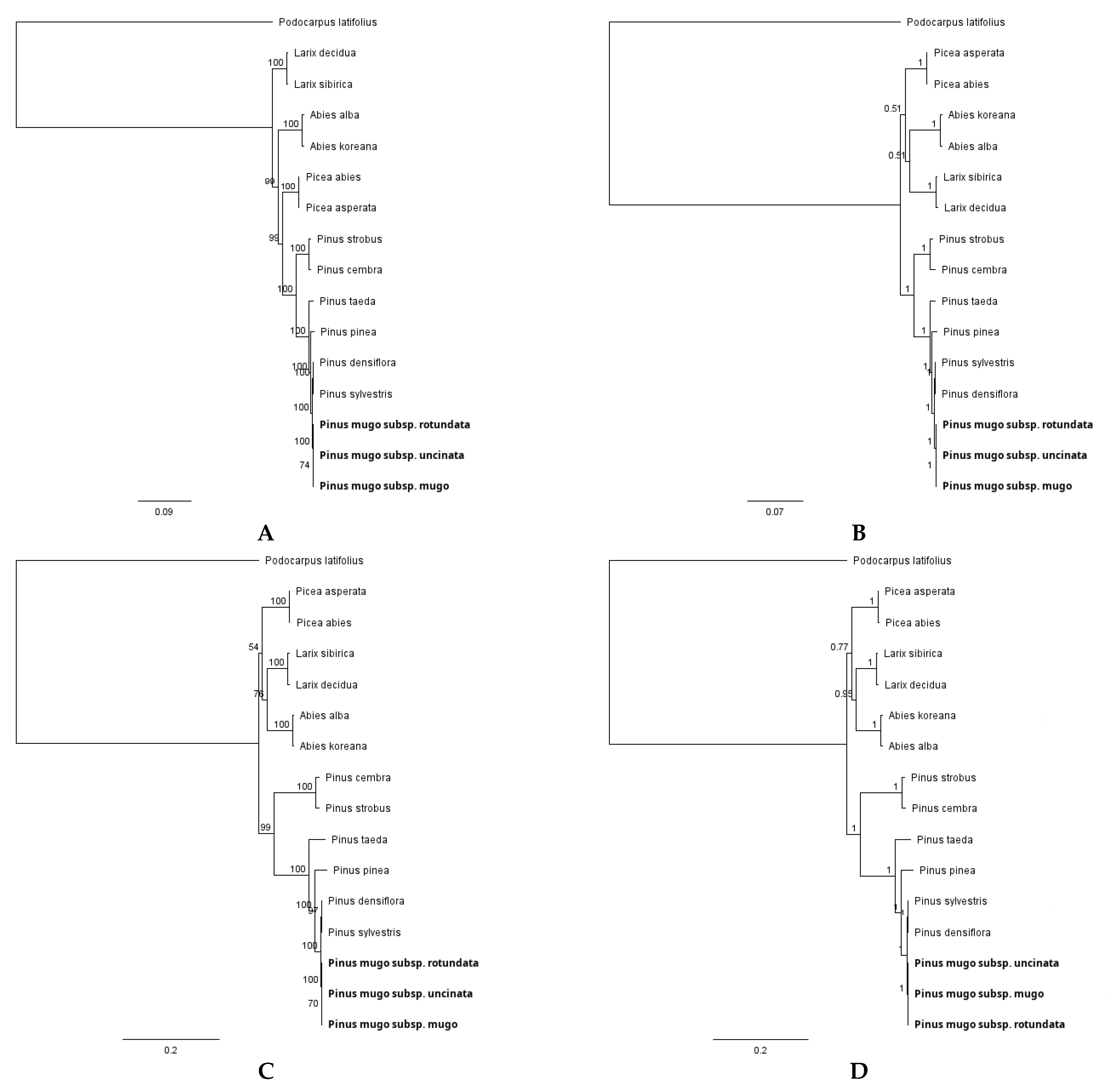 Plants 10 01331 g005 Plants 10 01331 g005