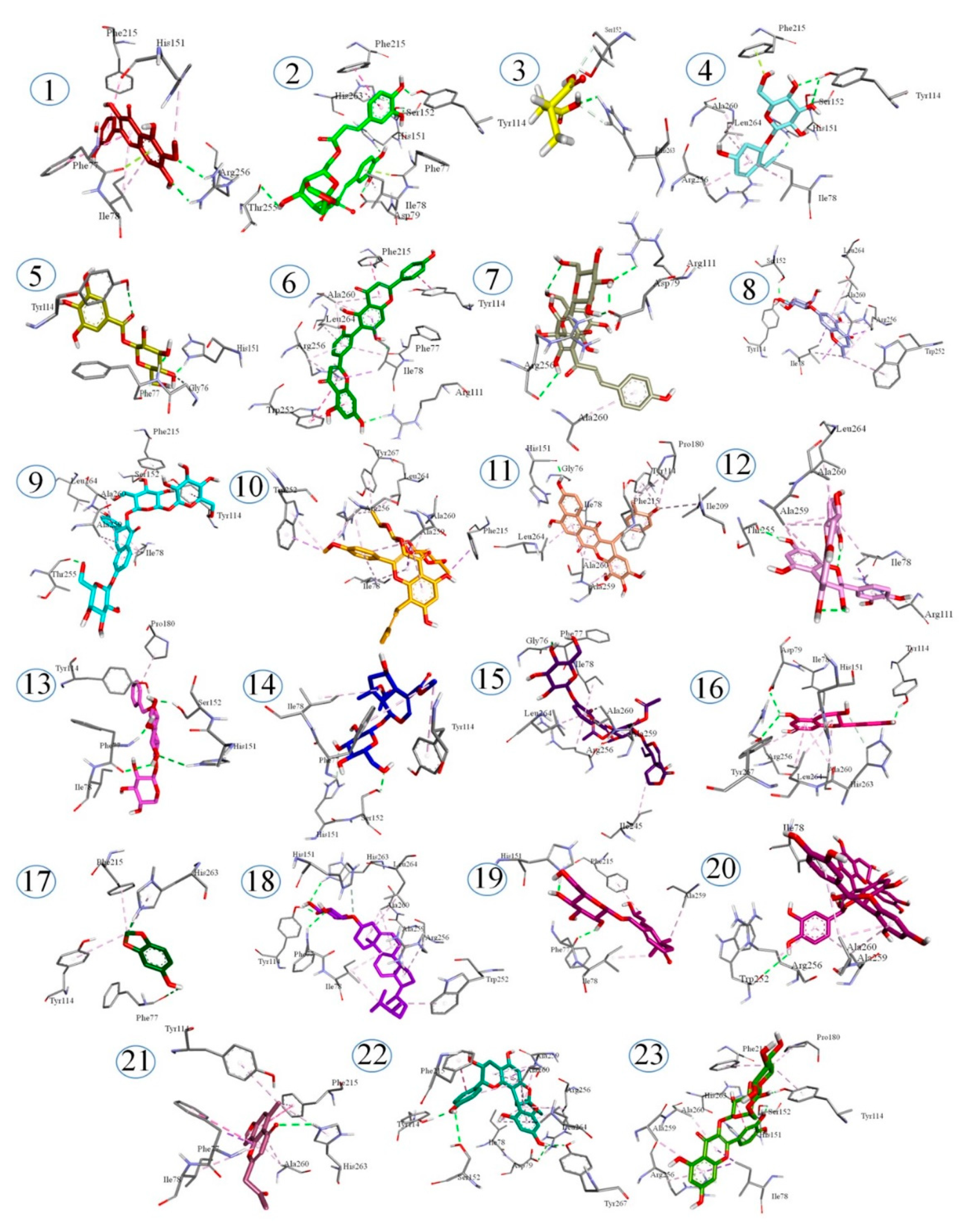 Plants 10 01334 g006