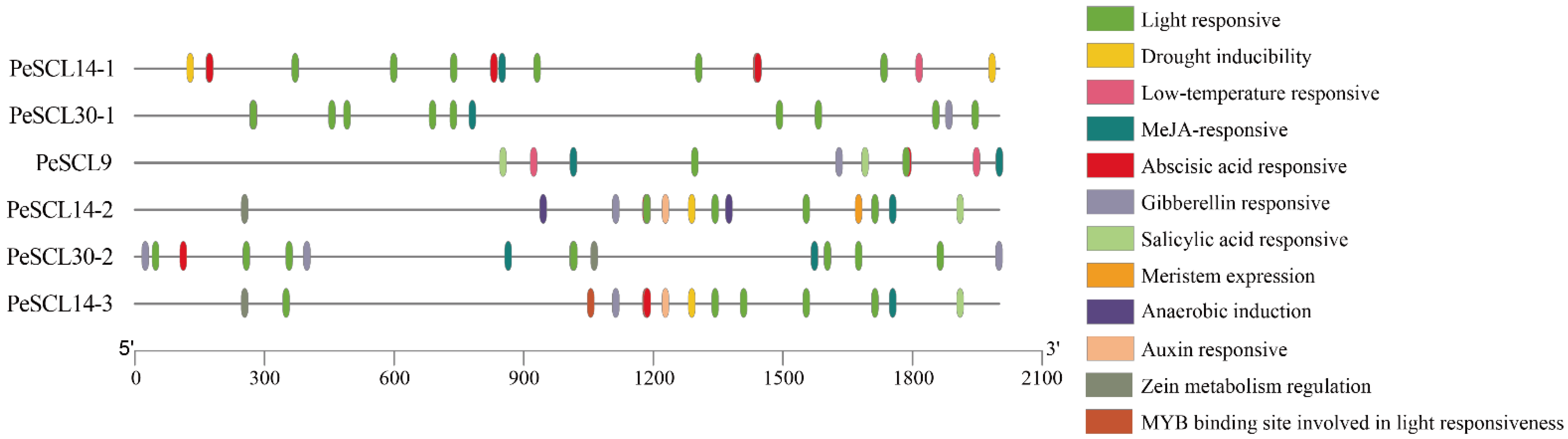 Plants 10 01338 g001 550