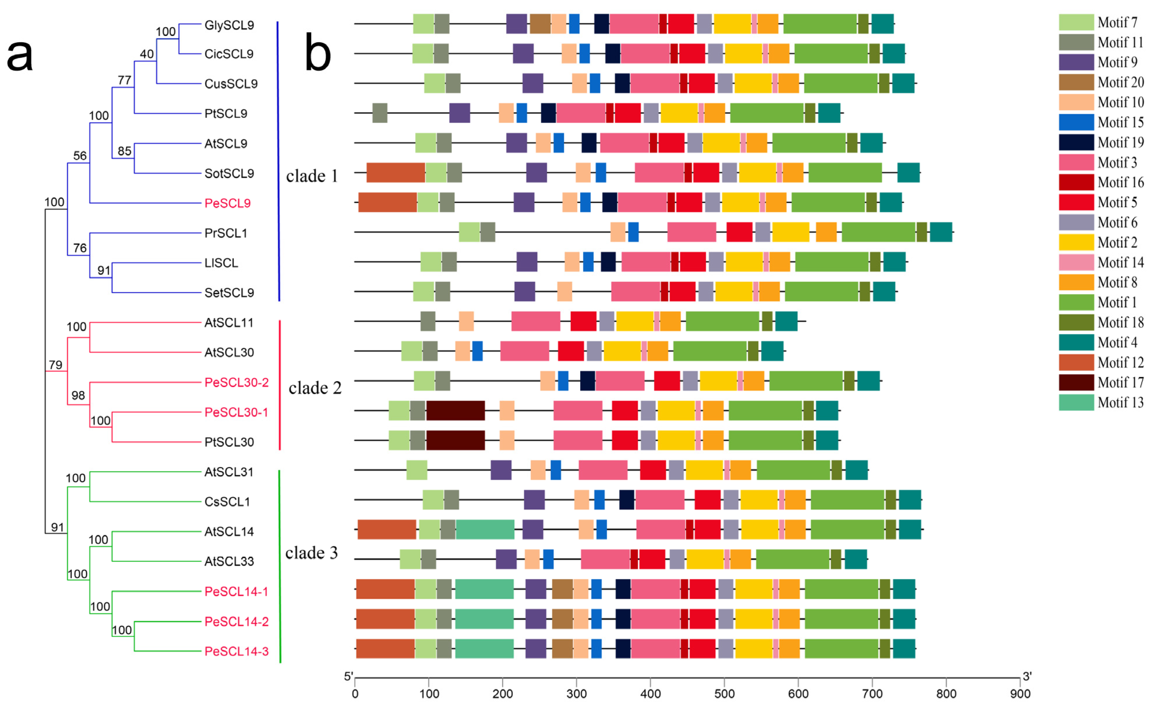 Plants 10 01338 g003 550
