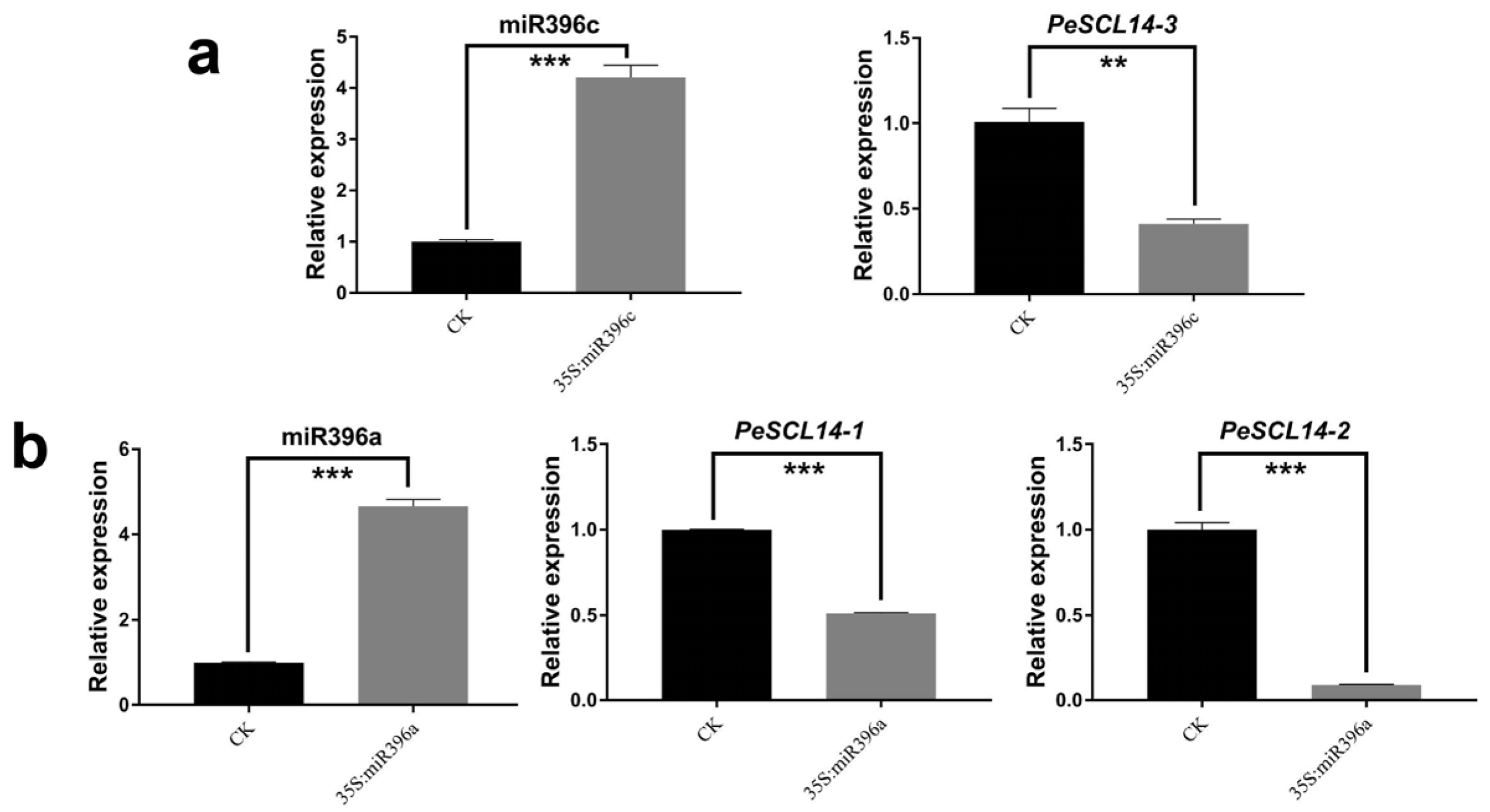 Plants 10 01338 g007 550