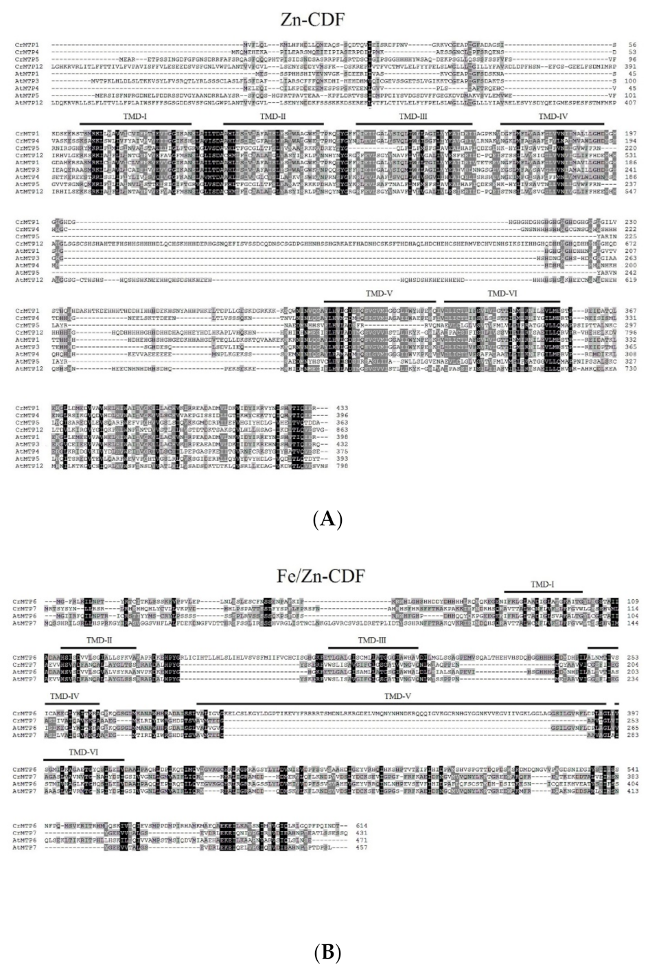 Plants 10 01340 g001a