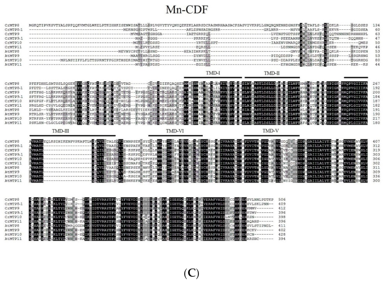 Plants 10 01340 g001b
